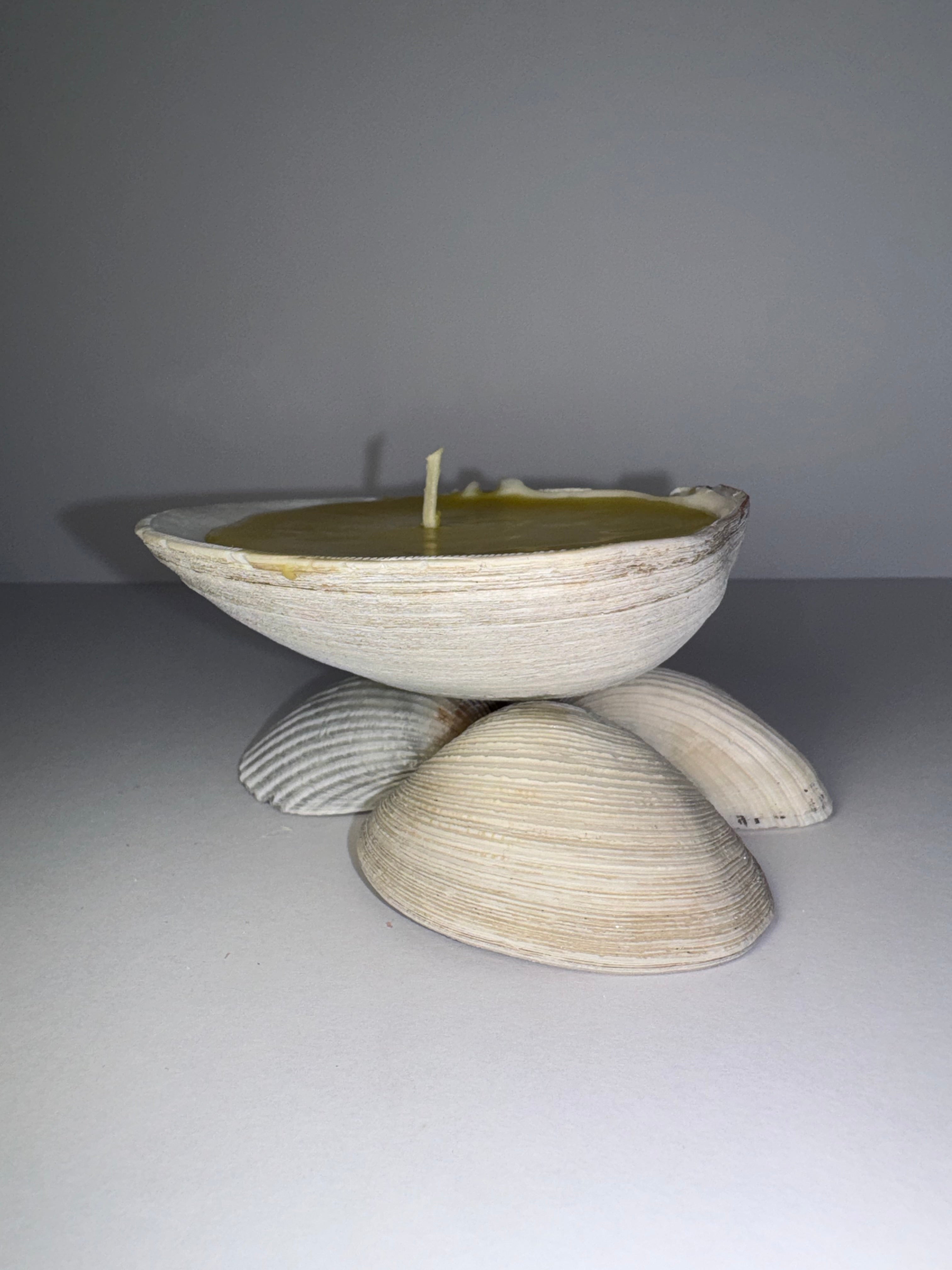Shell Candle