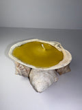 Shell Candle