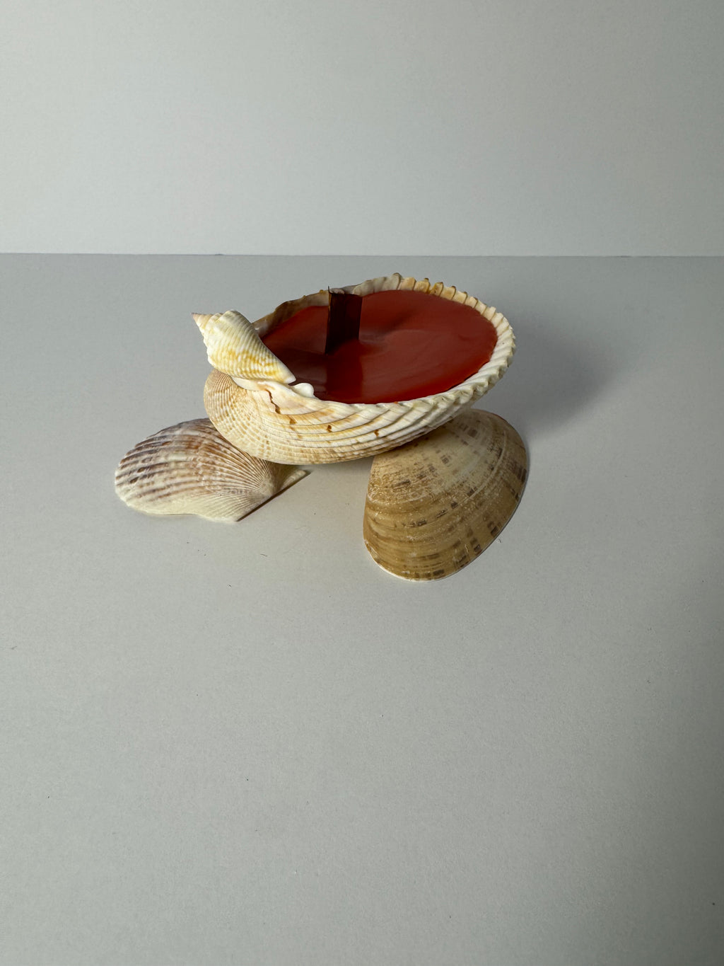 Shell Candle