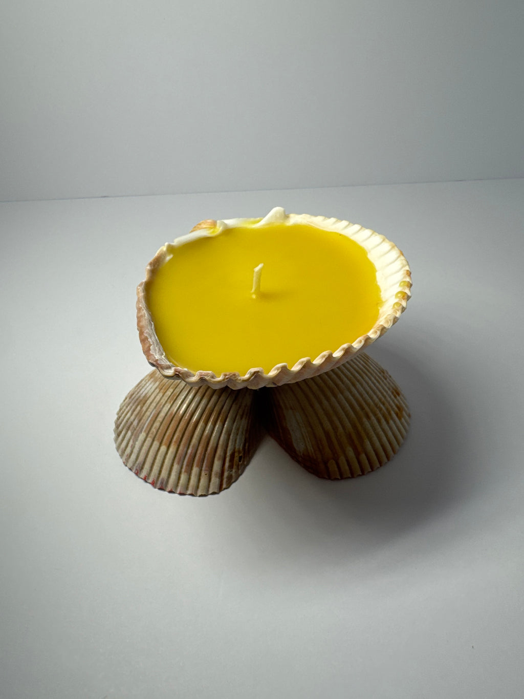 Shell Candle