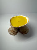 Shell Candle