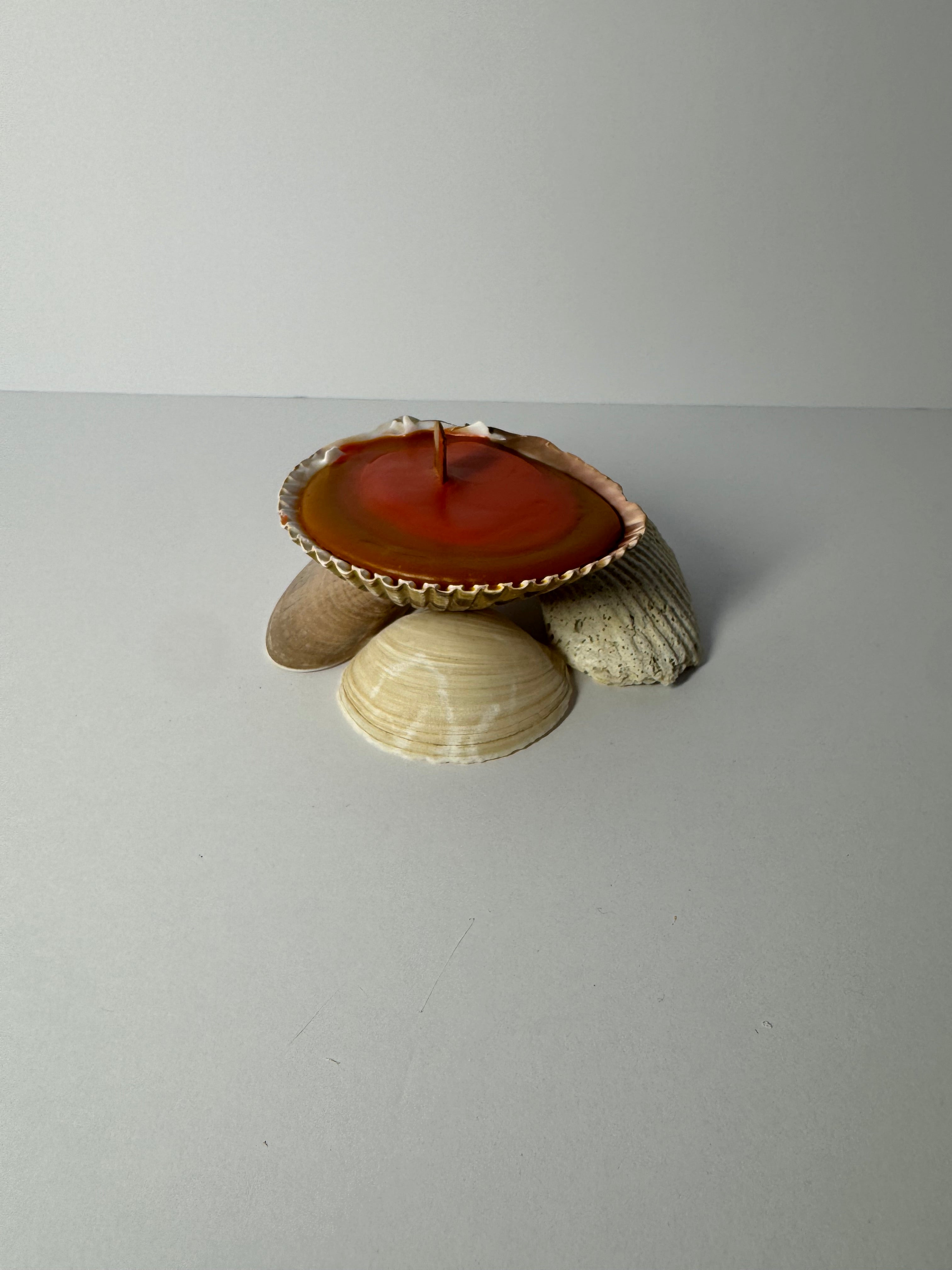 Shell Candle
