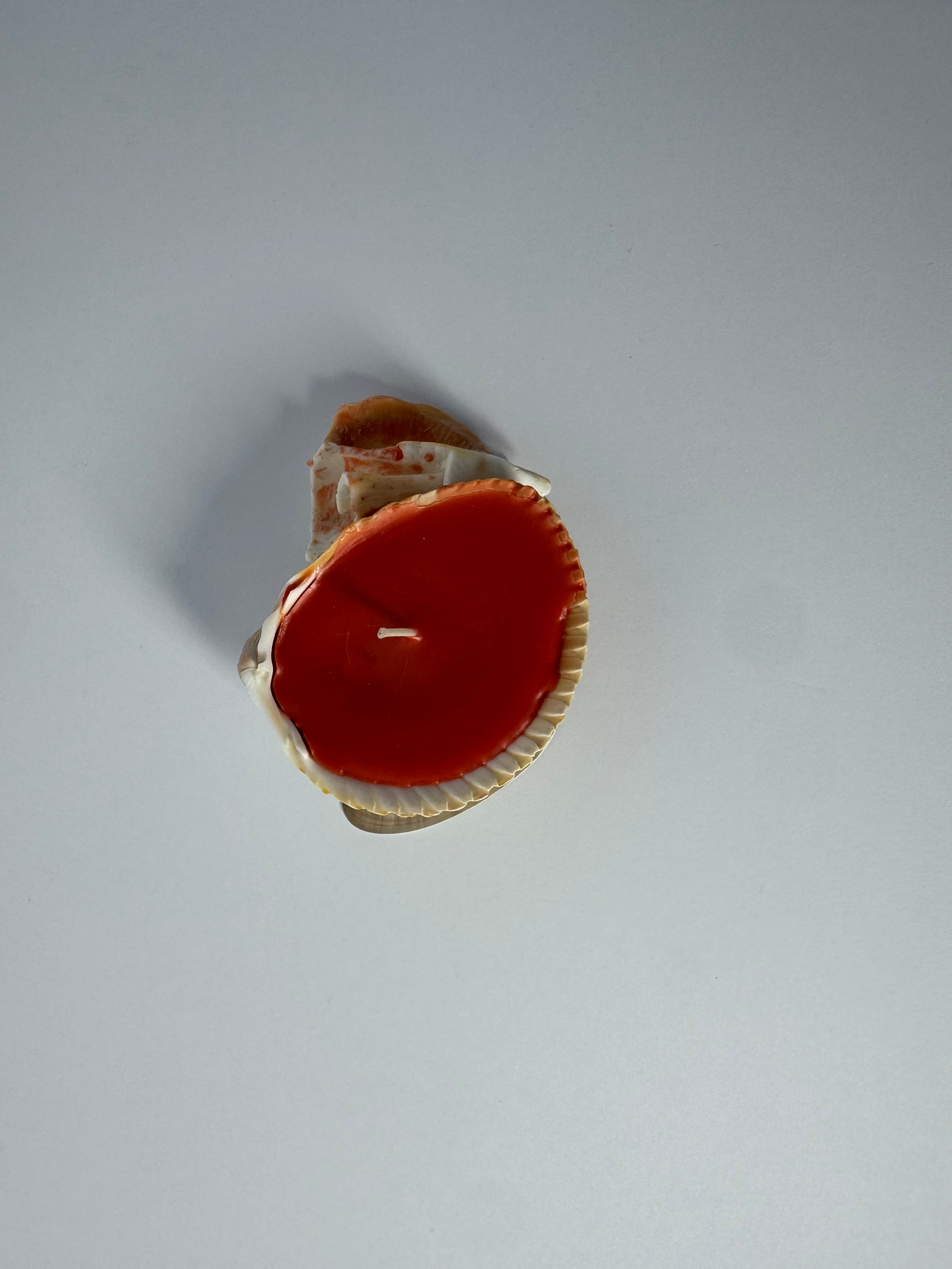 Shell Candle