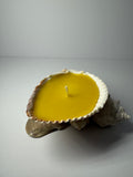 Shell Candle
