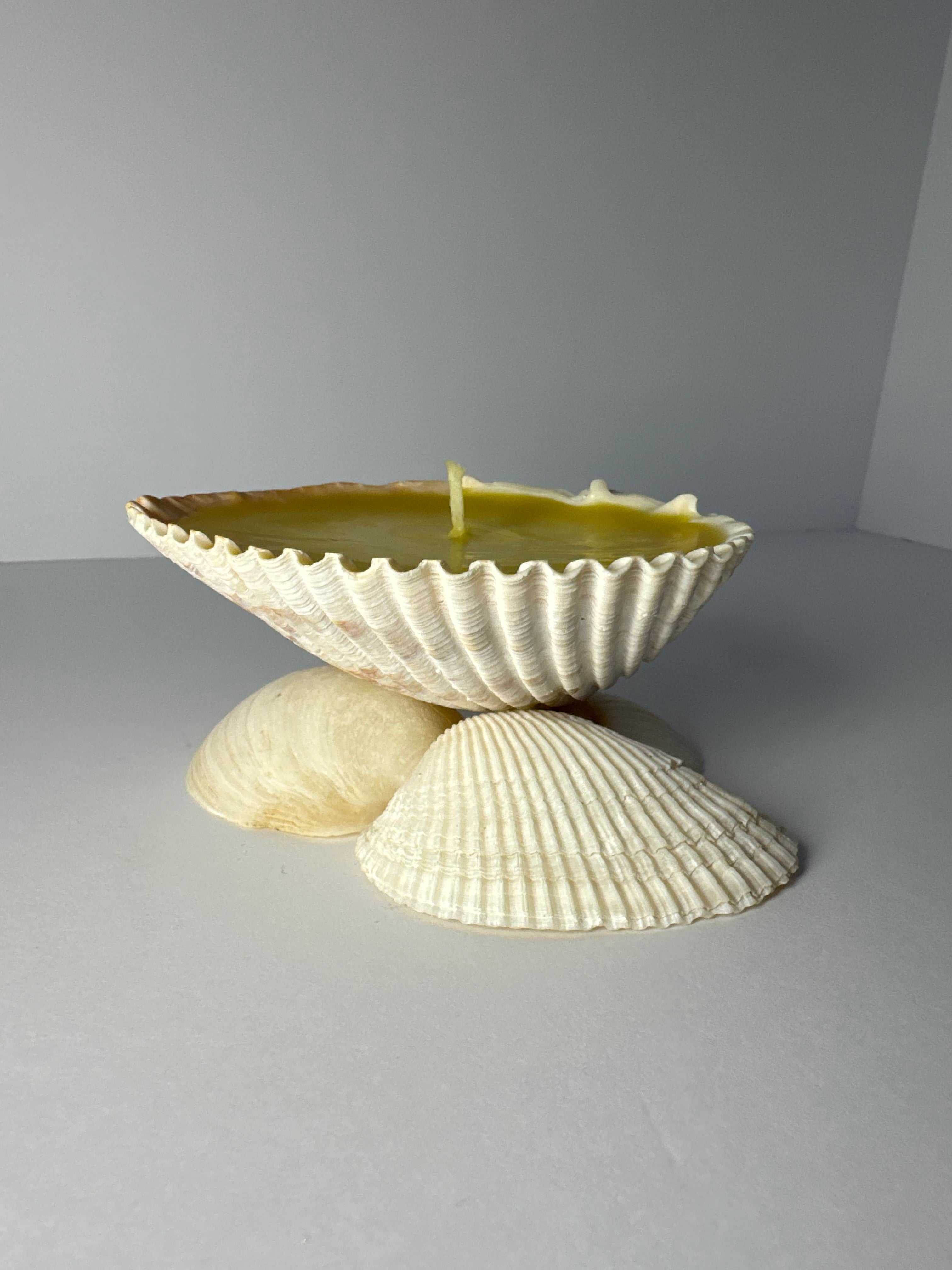 Shell Candle