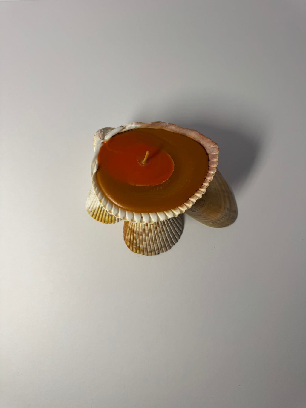 Shell Candle