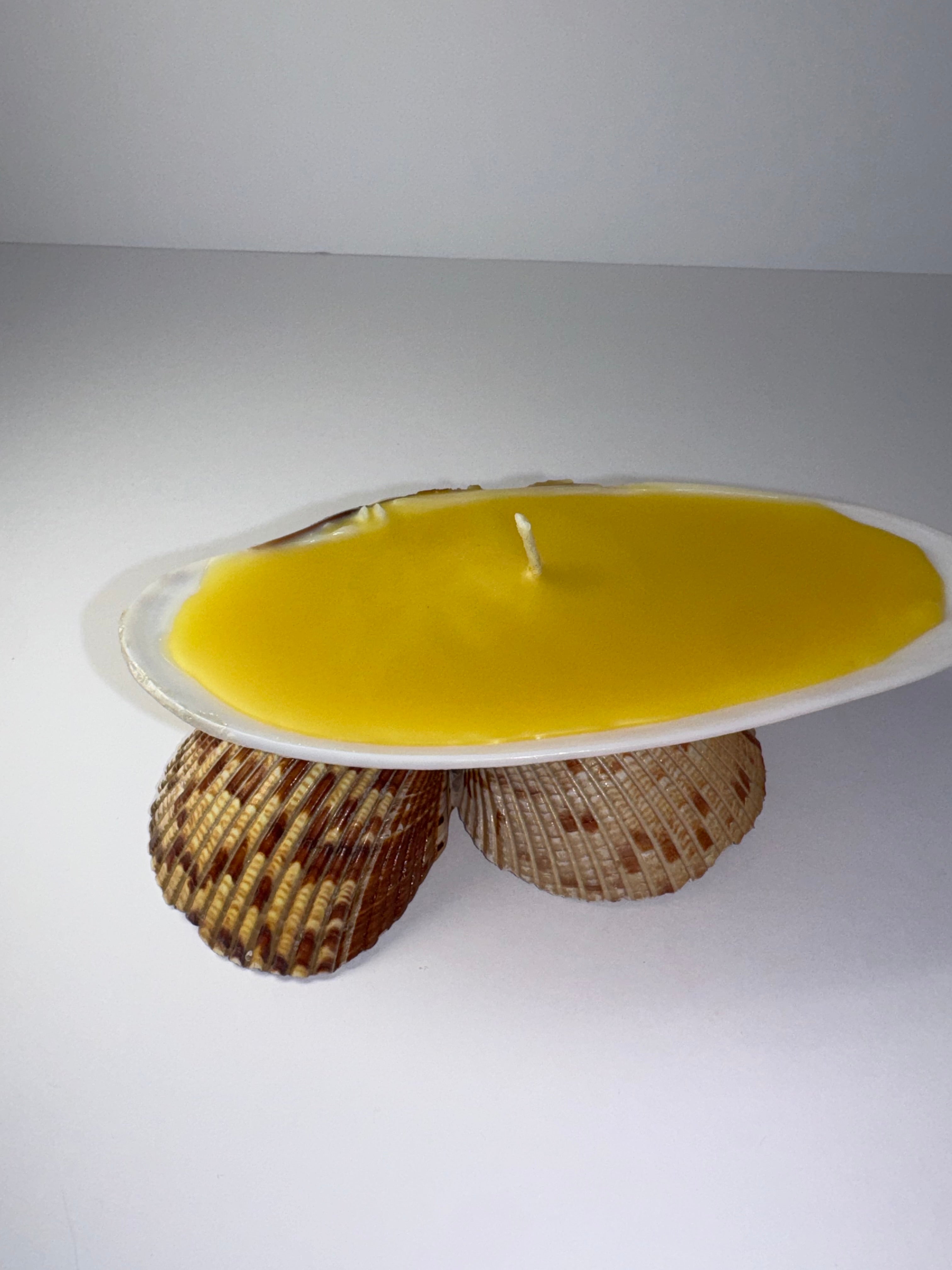 Shell Candle