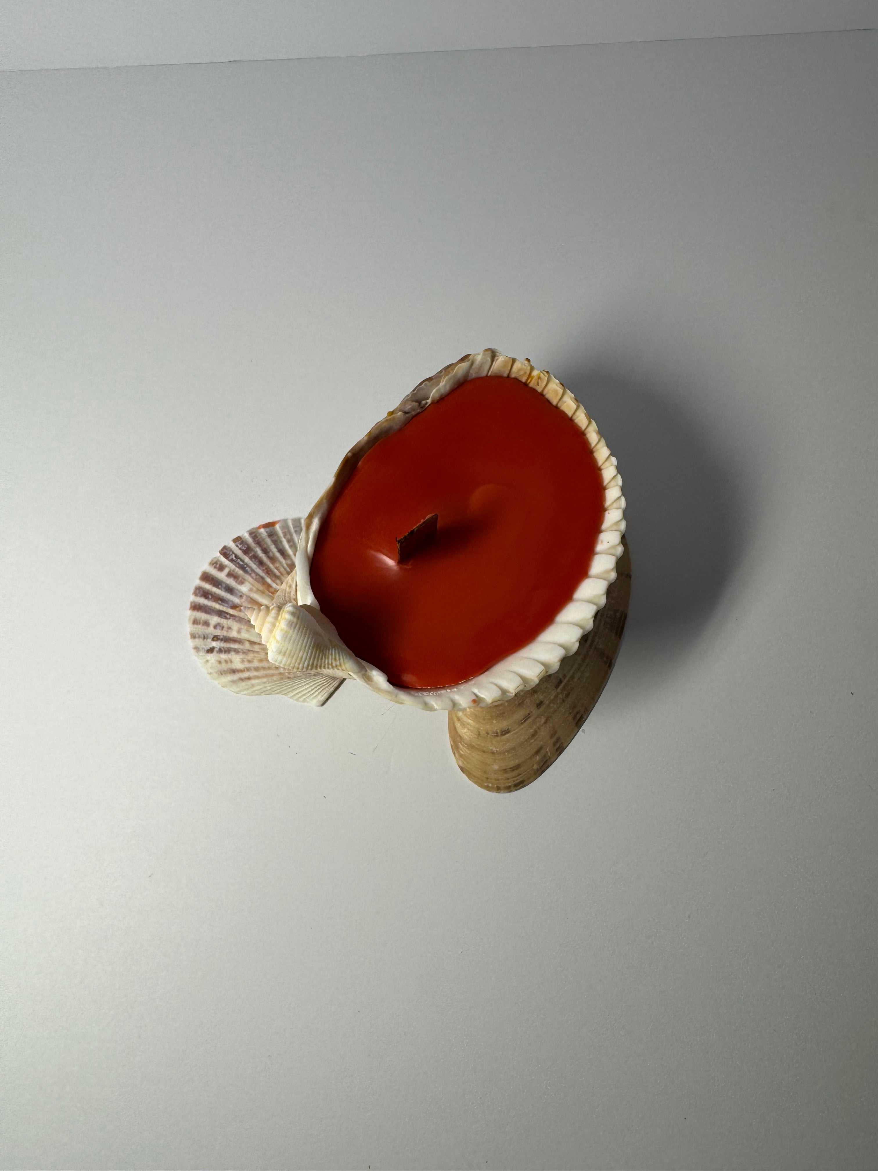 Shell Candle