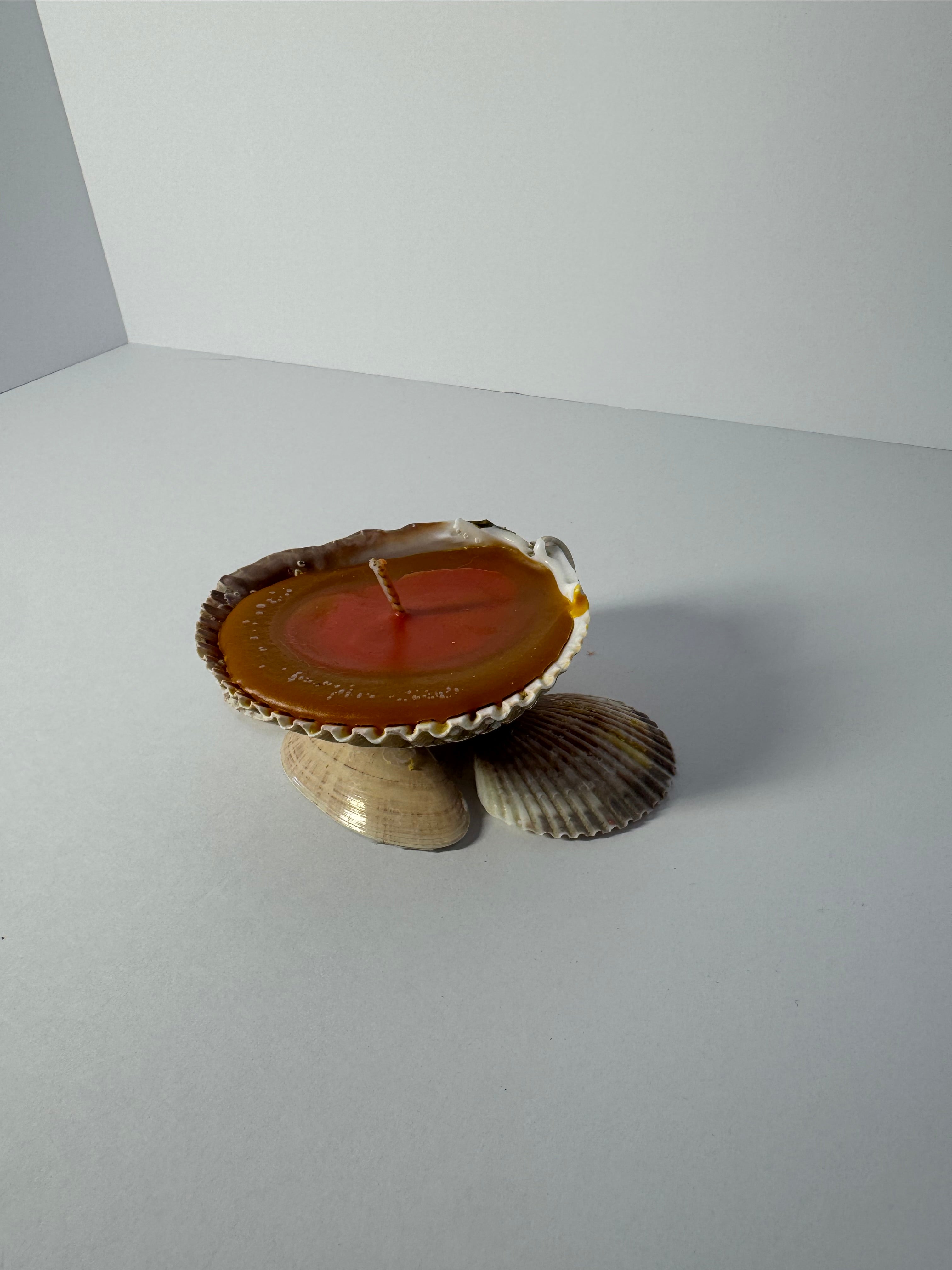 Shell Candle