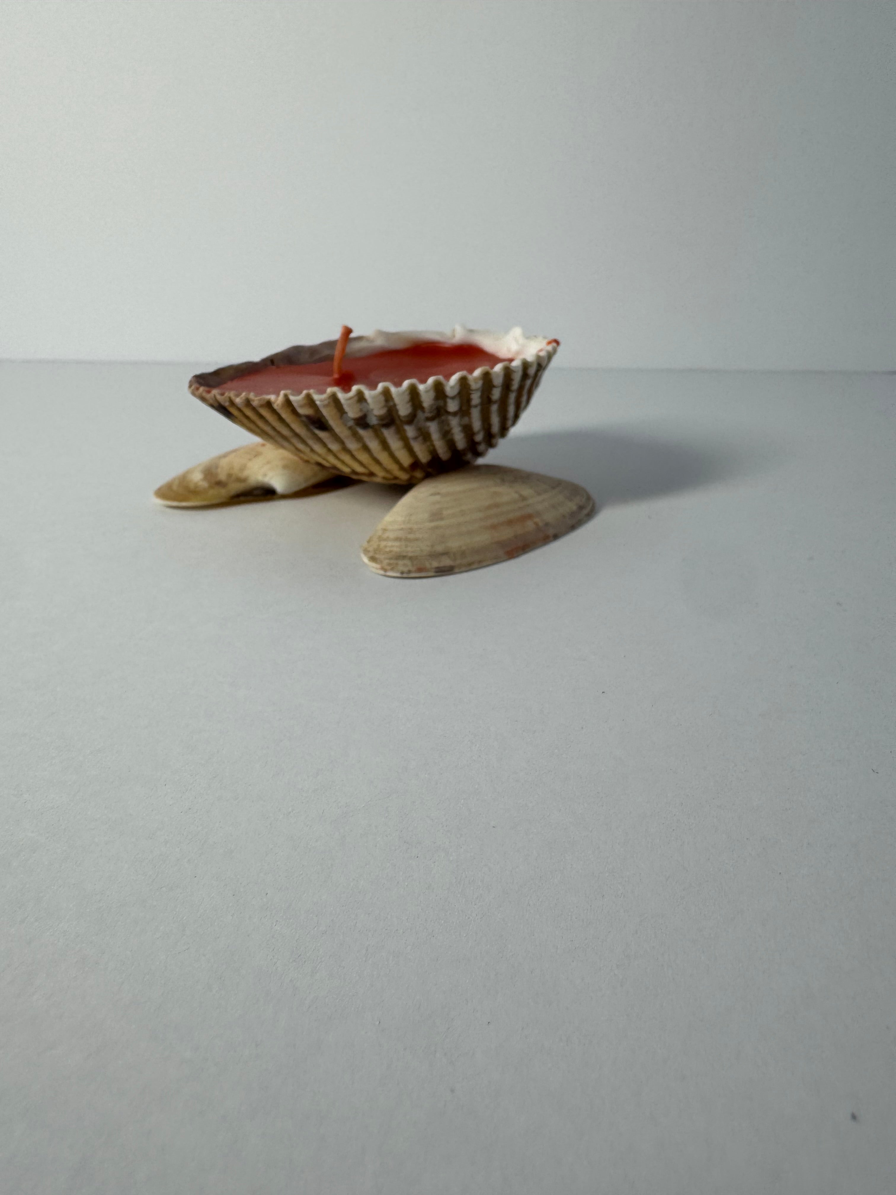 Shell Candle