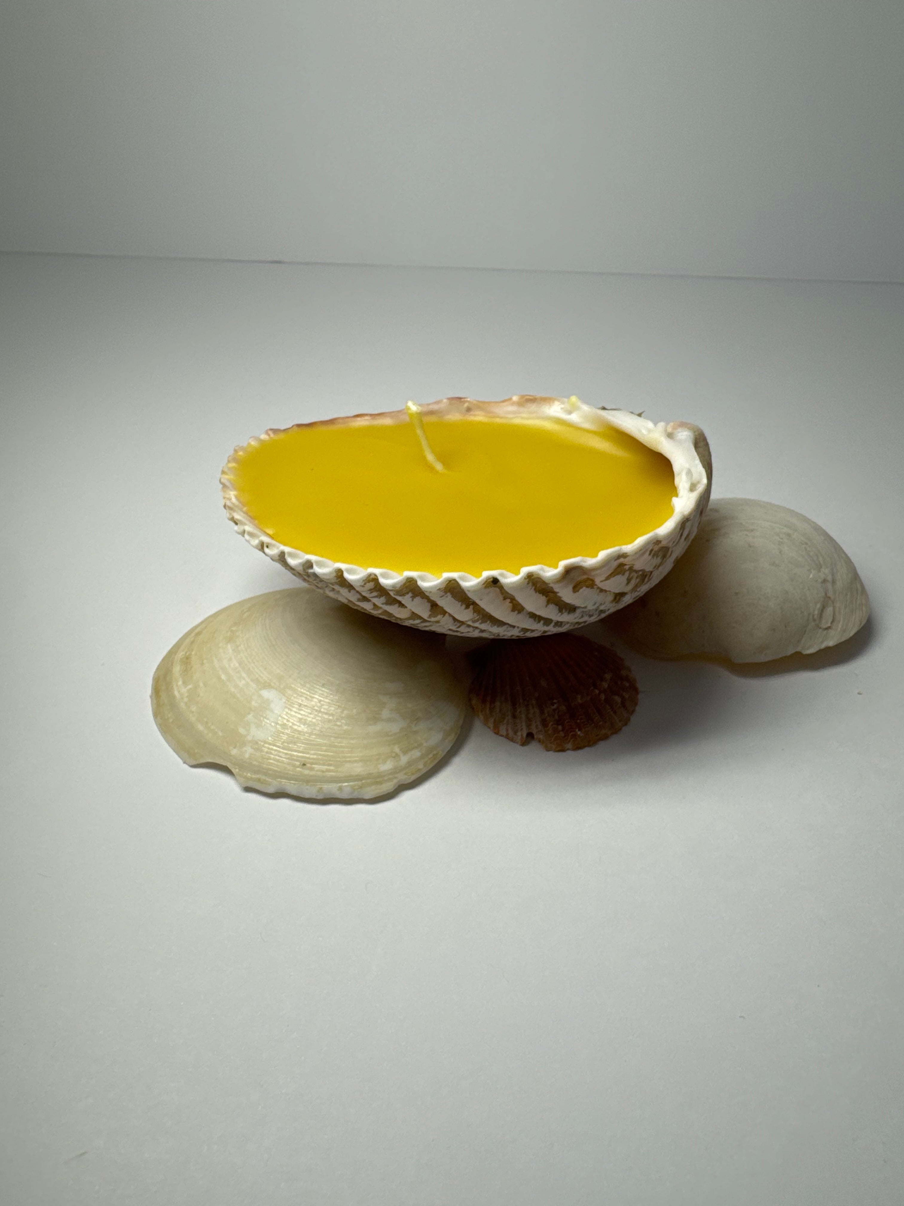 Shell Candle