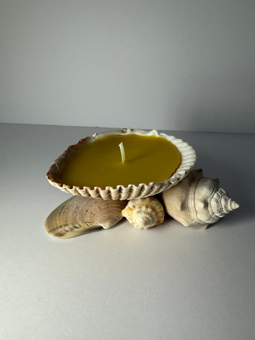 Shell Candle