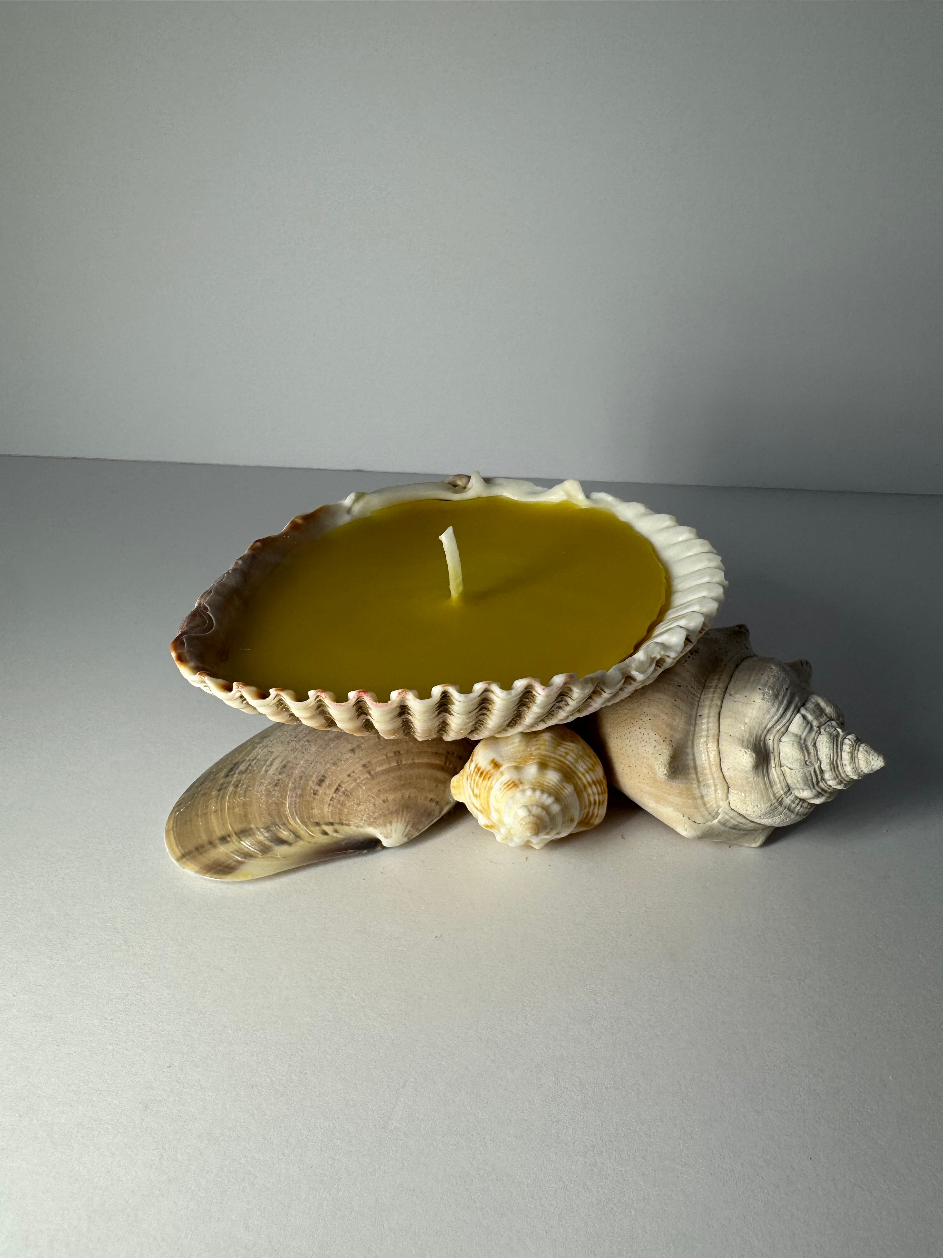 Shell Candle
