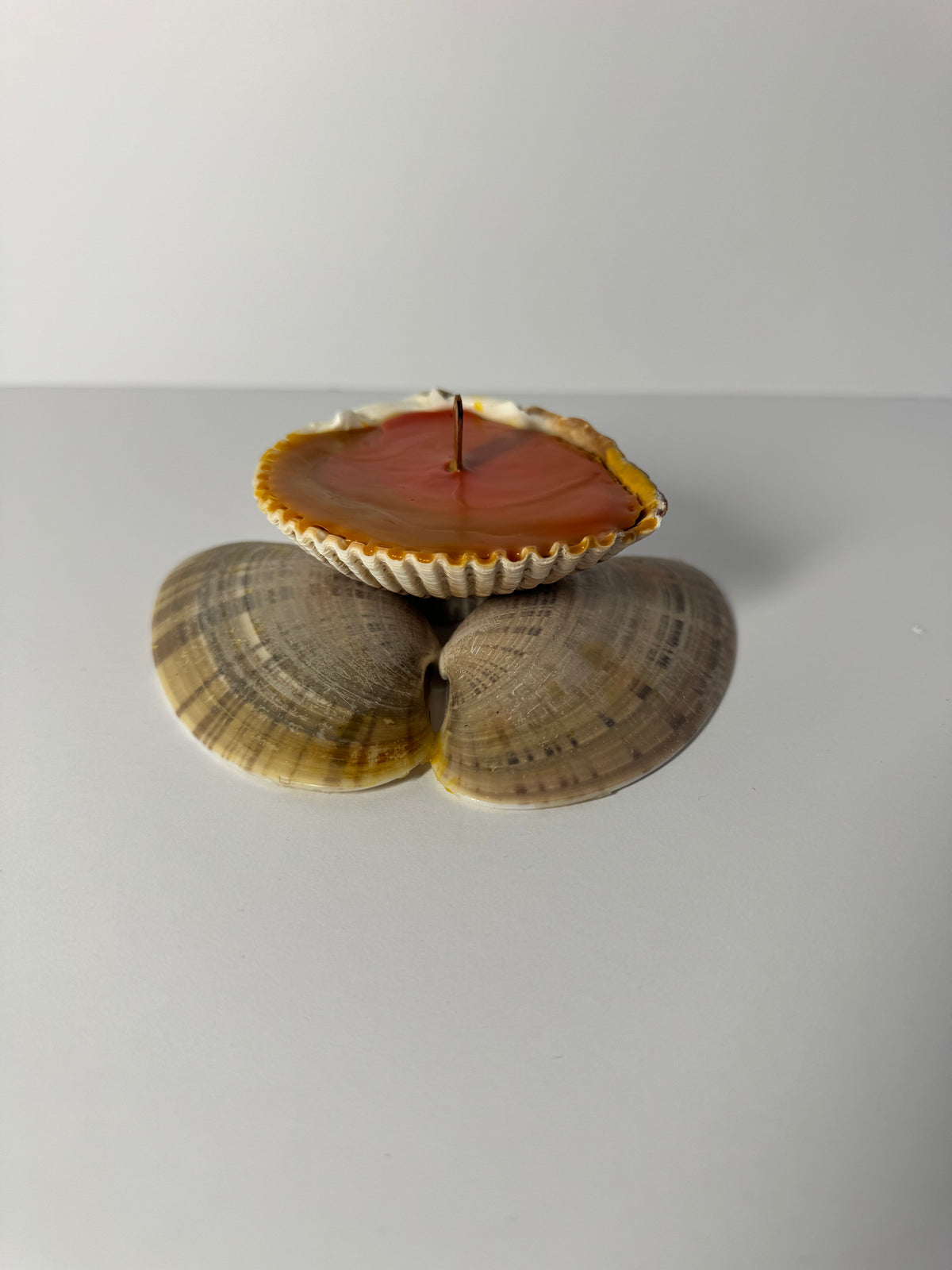 Shell Candle