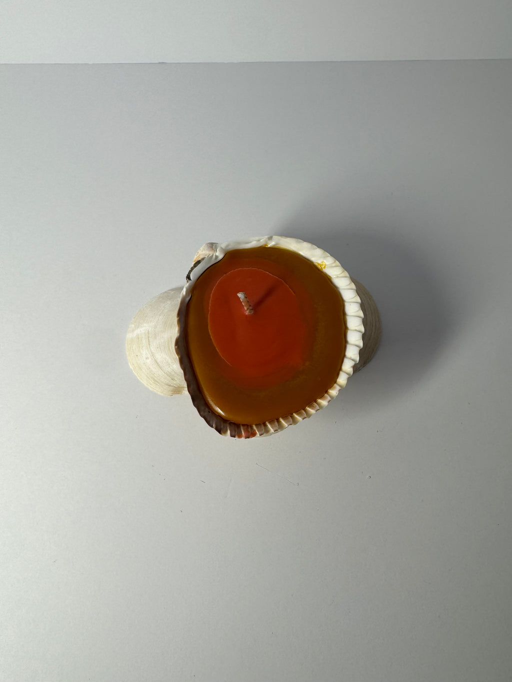 Shell Candle
