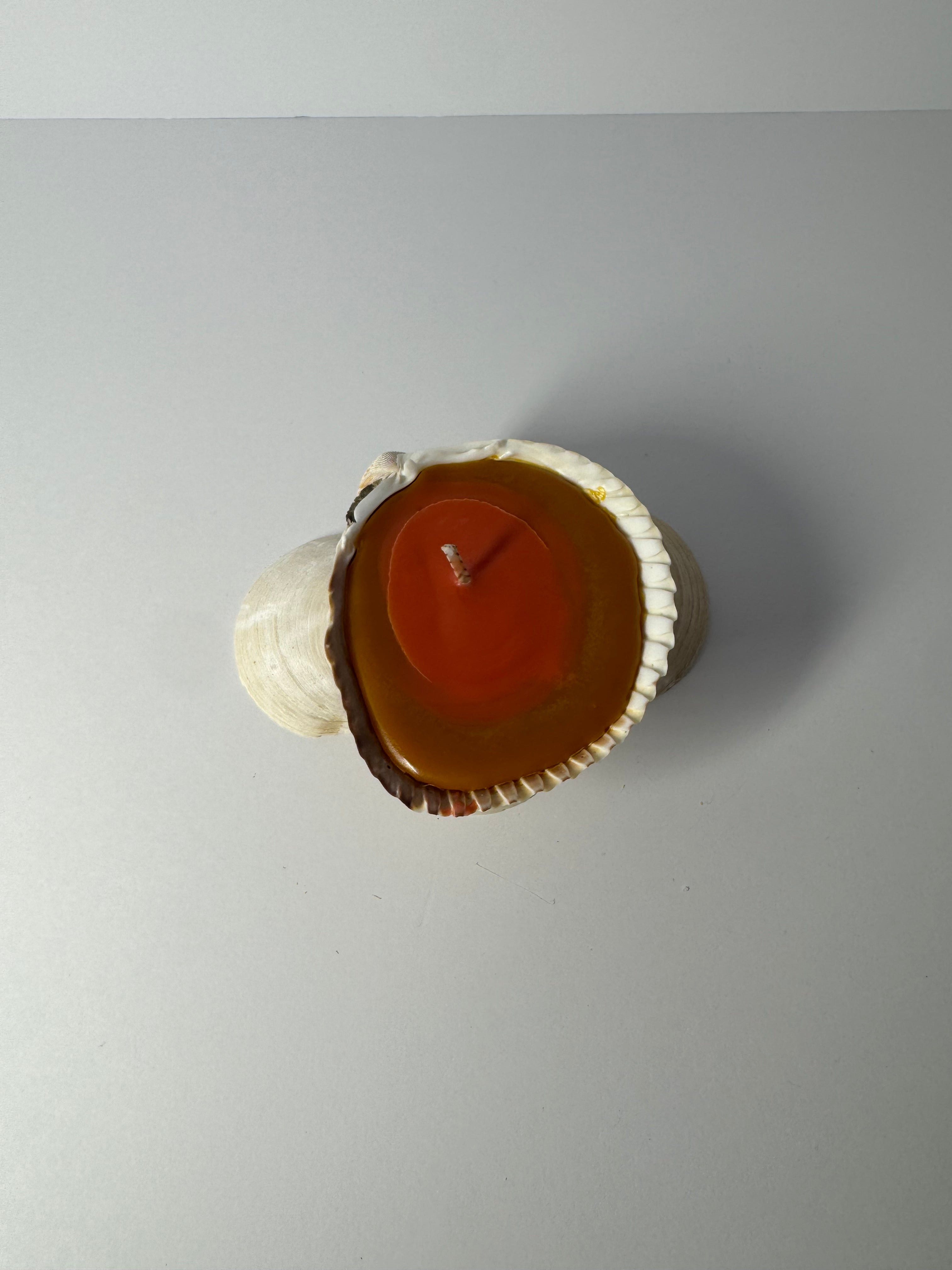 Shell Candle