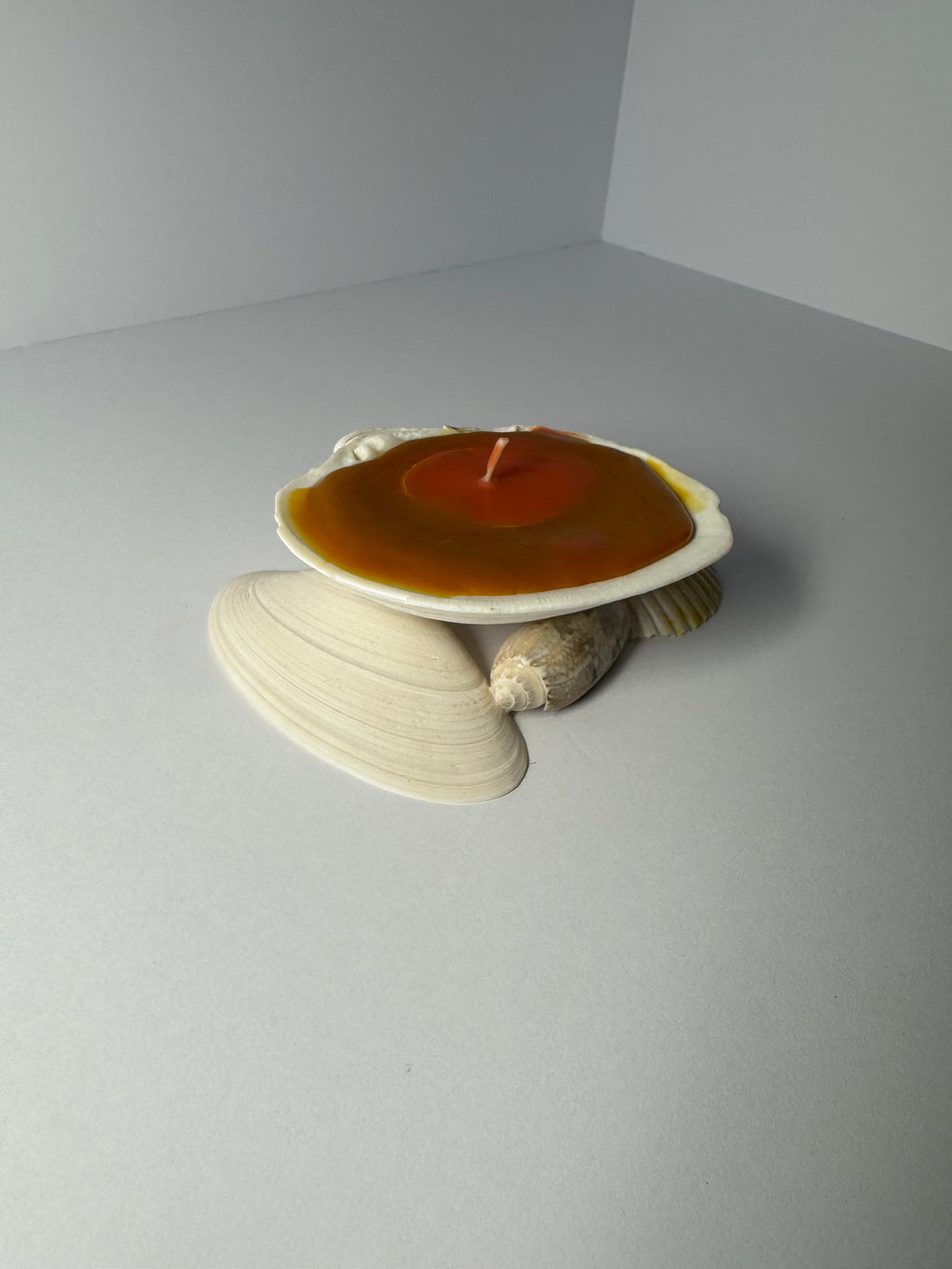 Shell Candle