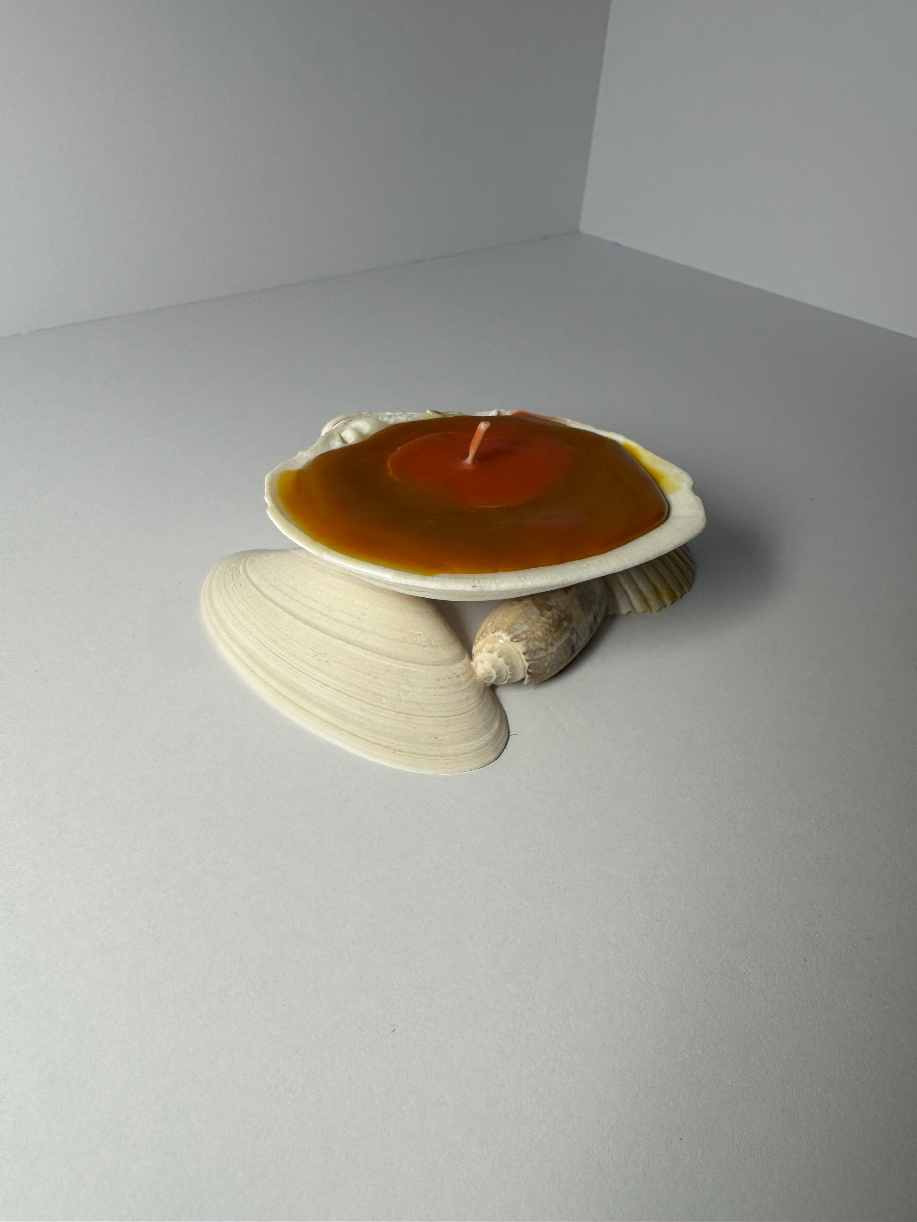 Shell Candle