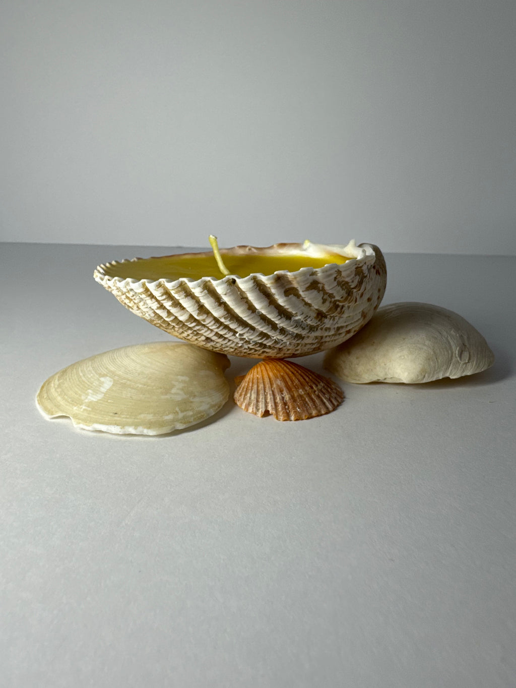 Shell Candle