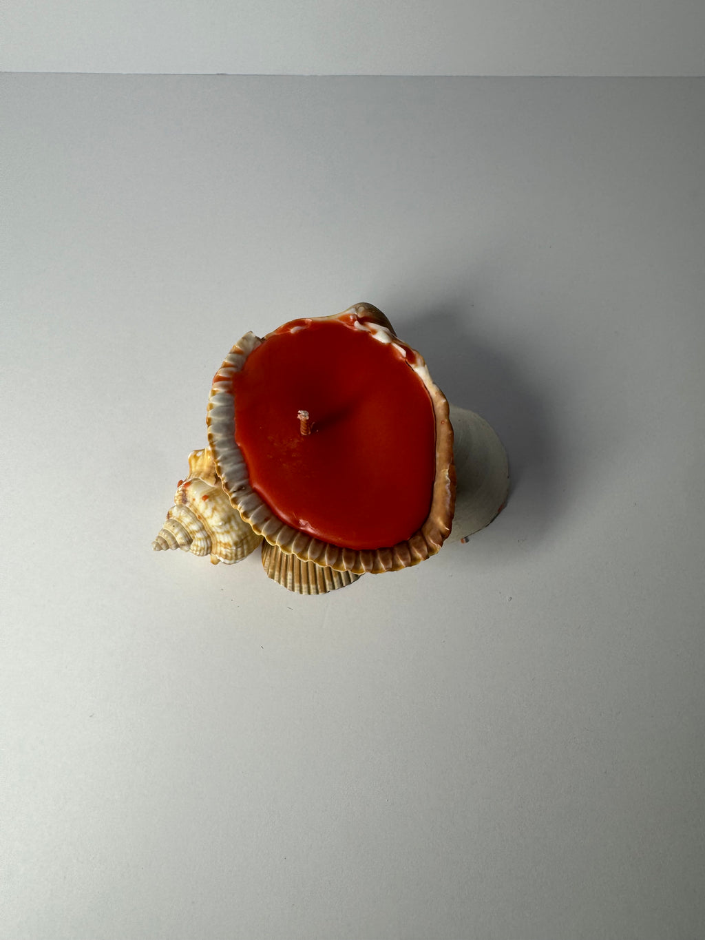 Shell Candle