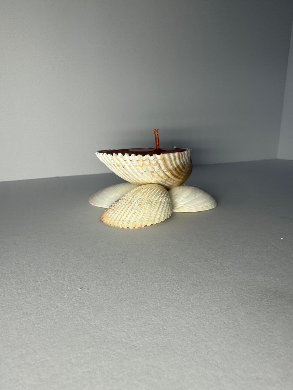Shell Candle