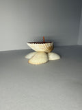Shell Candle