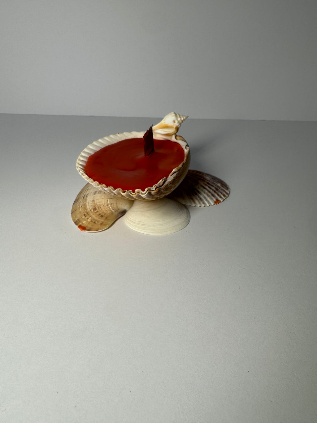 Shell Candle
