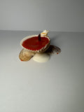Shell Candle