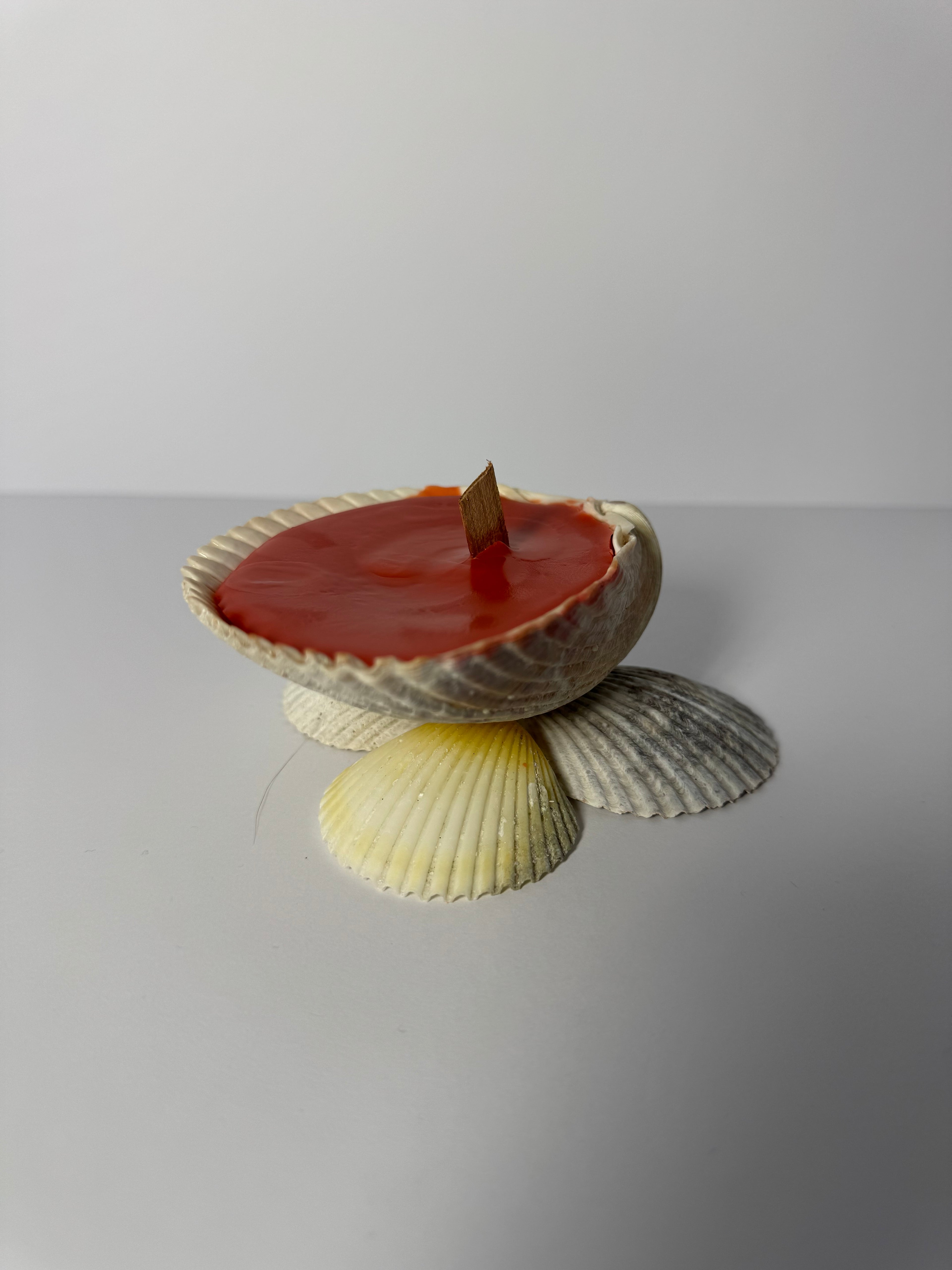 Shell Candle