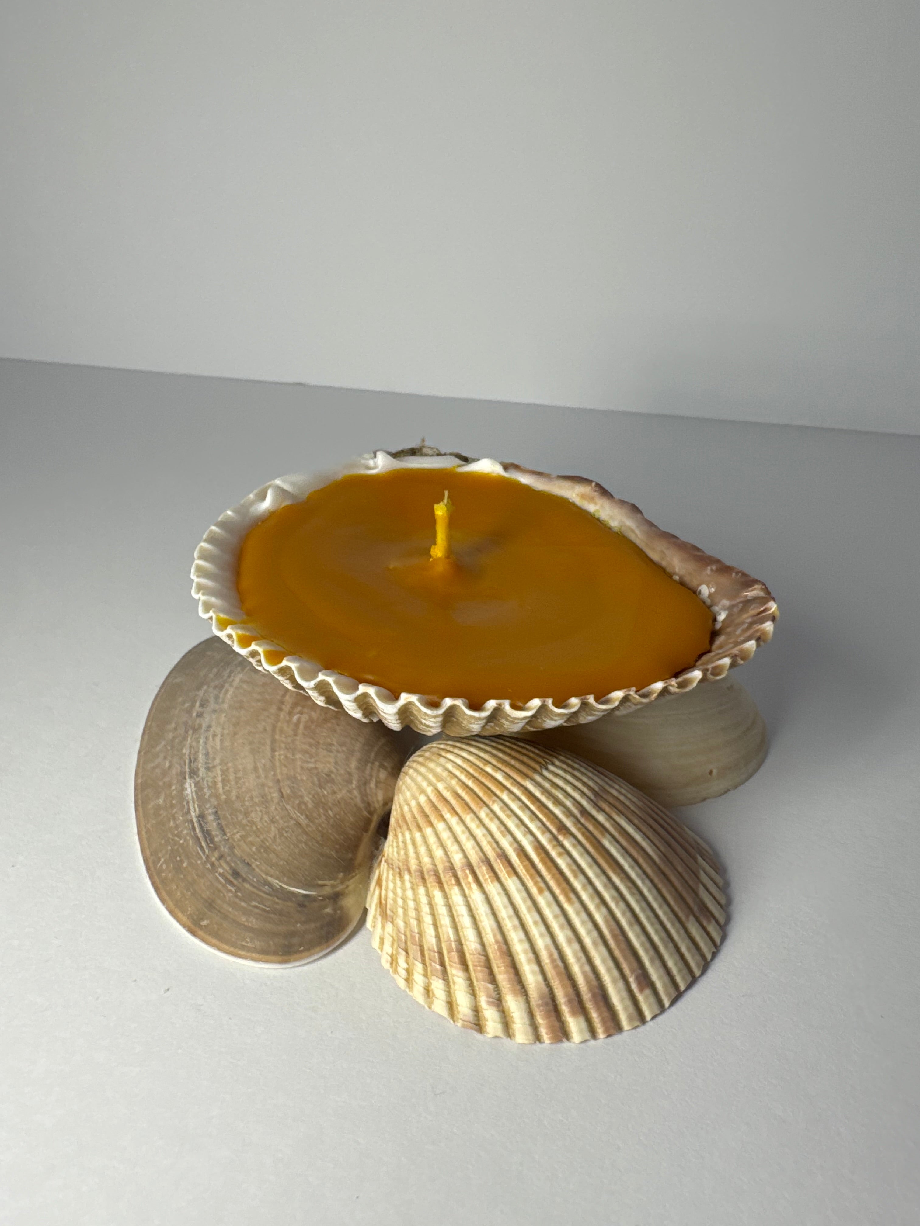 Shell Candle