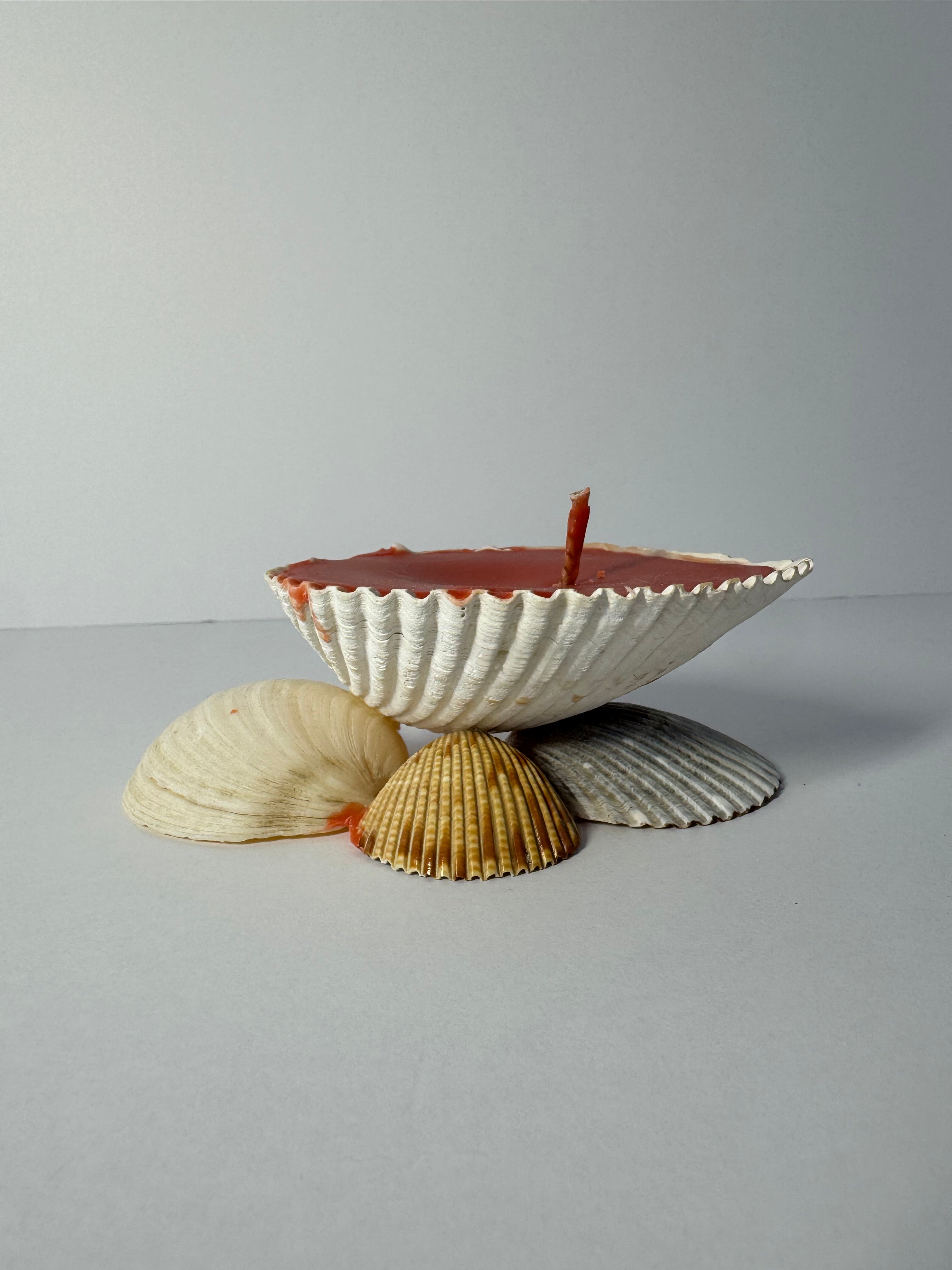 Shell Candle
