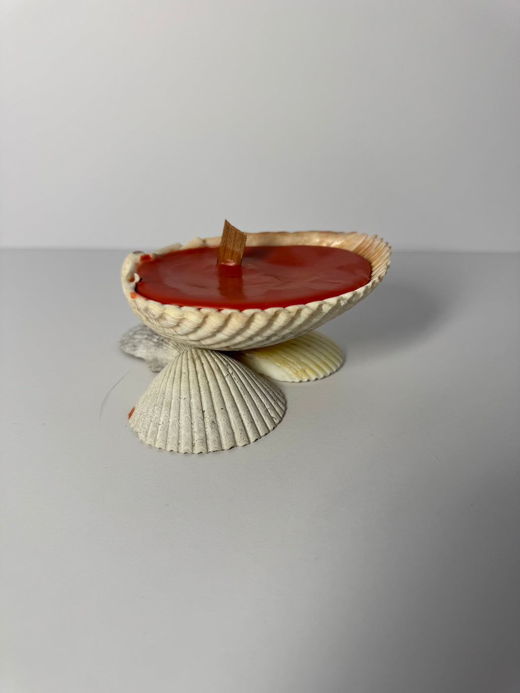 Shell Candle