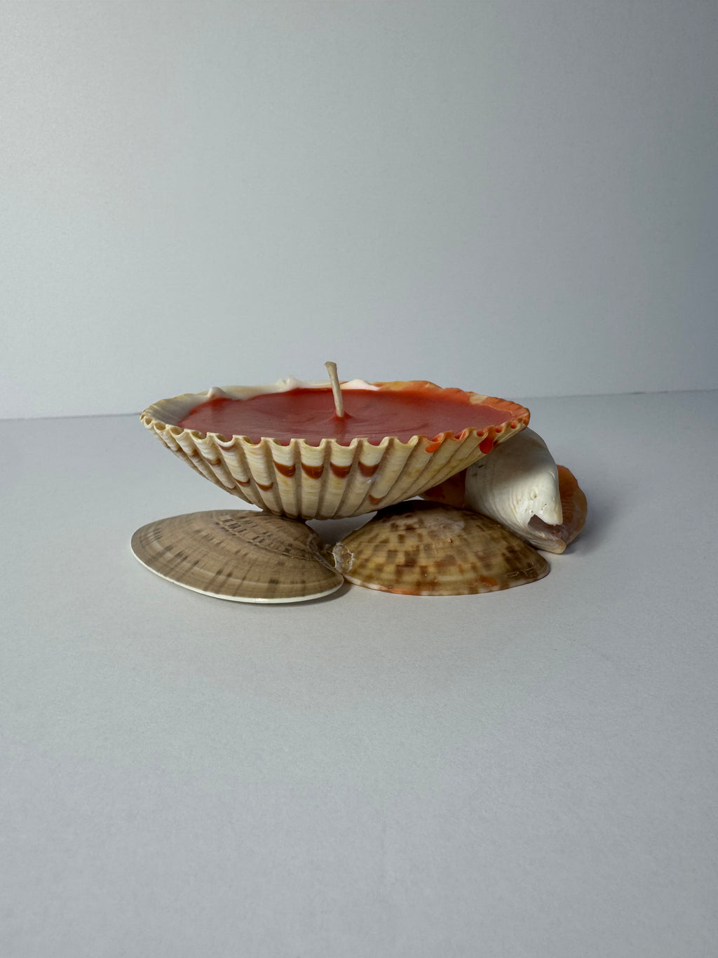 Shell Candle