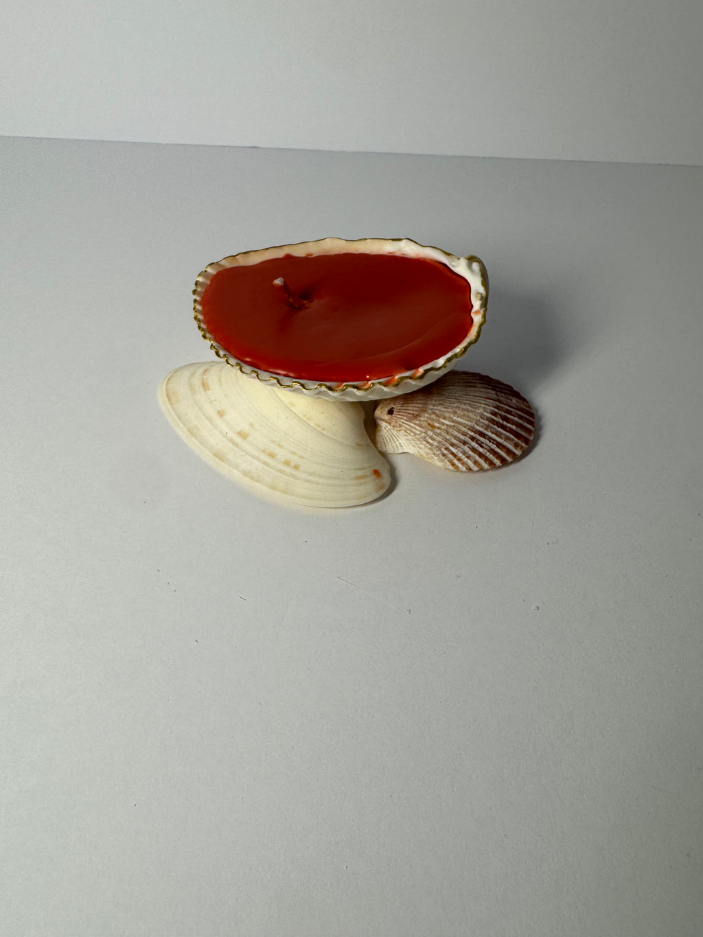 Shell Candle