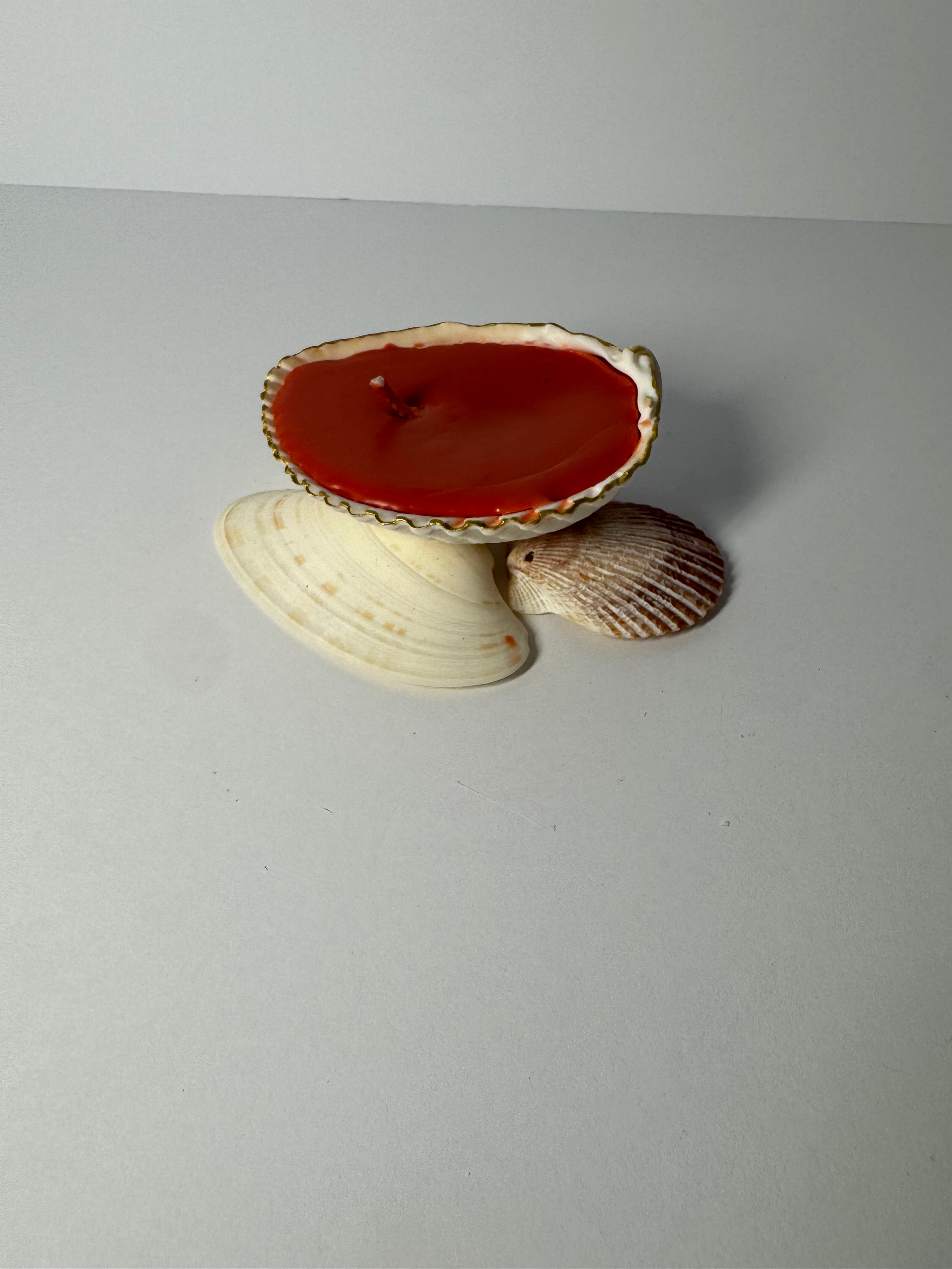 Shell Candle