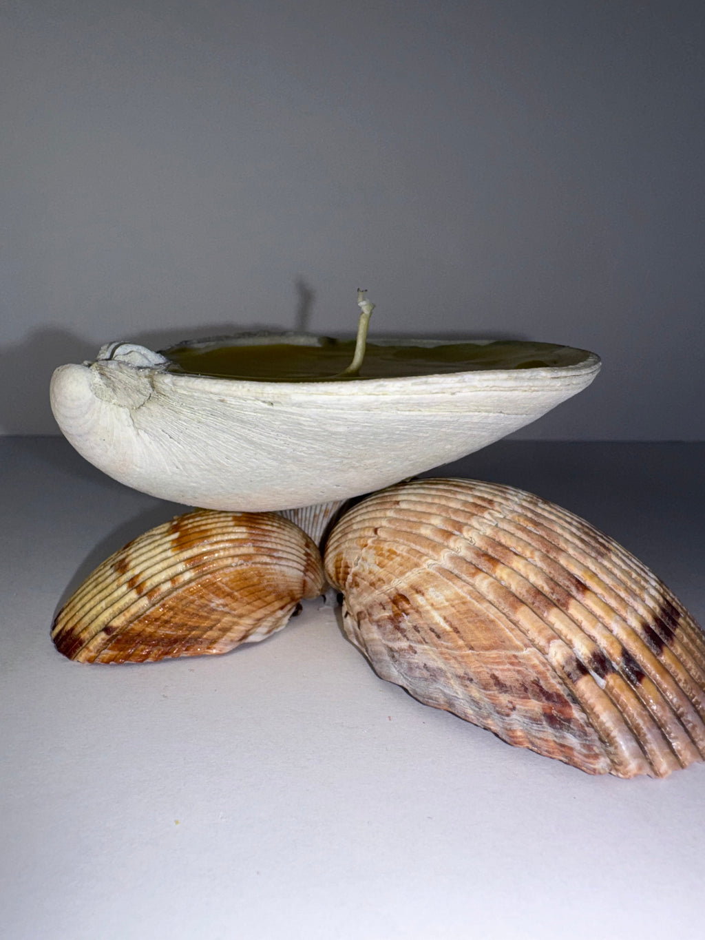 Shell Candle