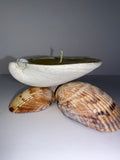 Shell Candle