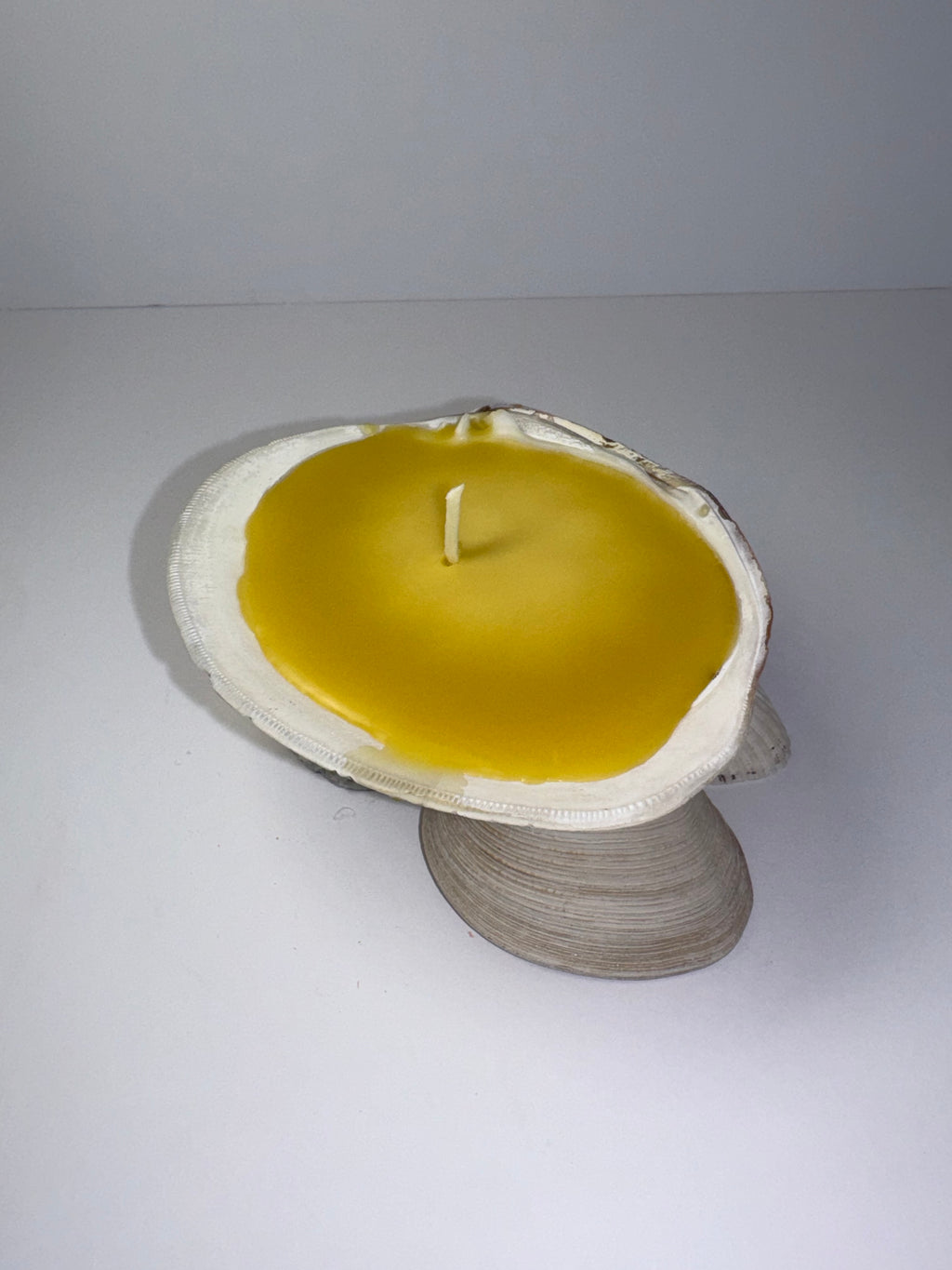 Shell Candle