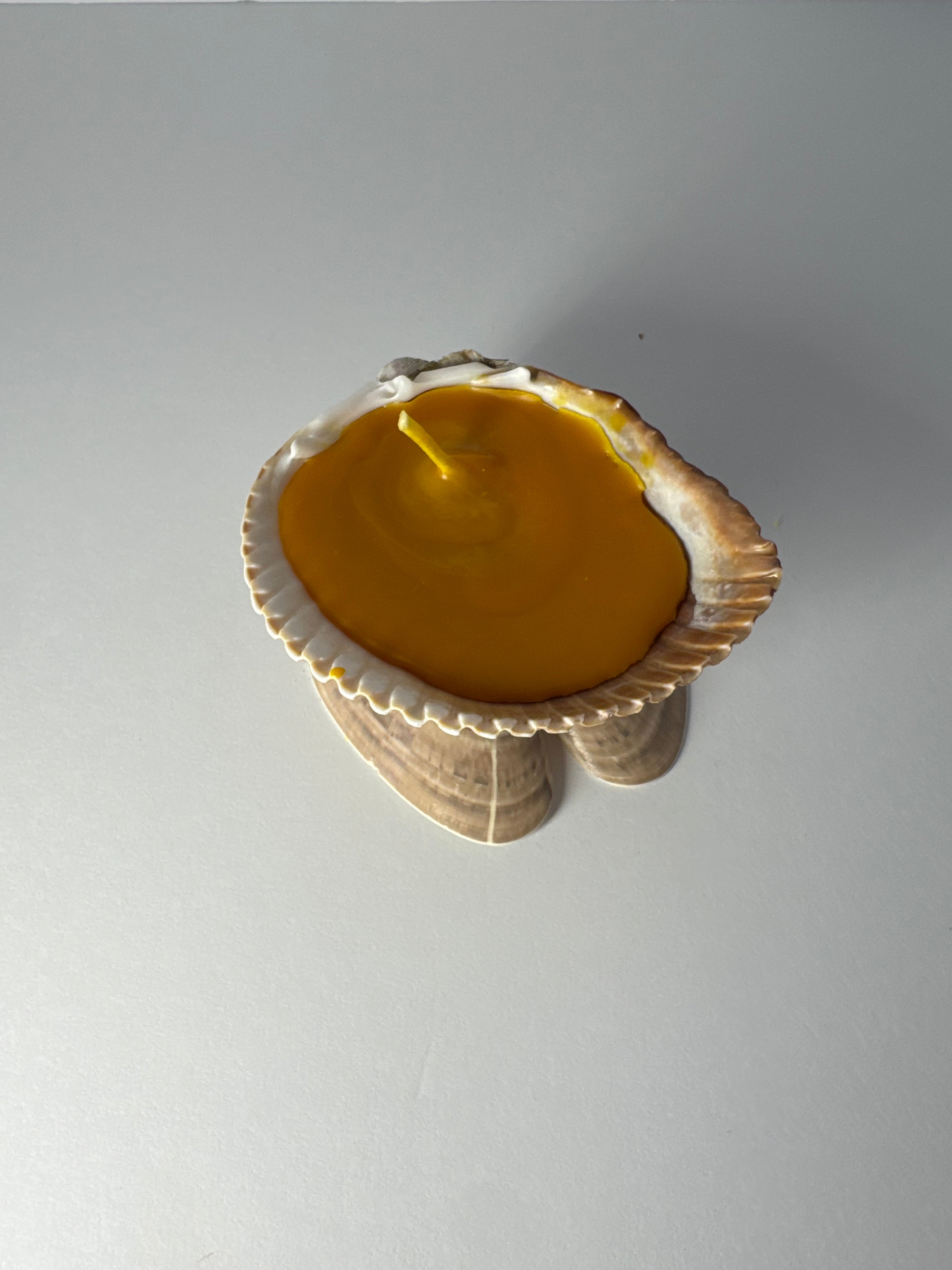 Shell Candle