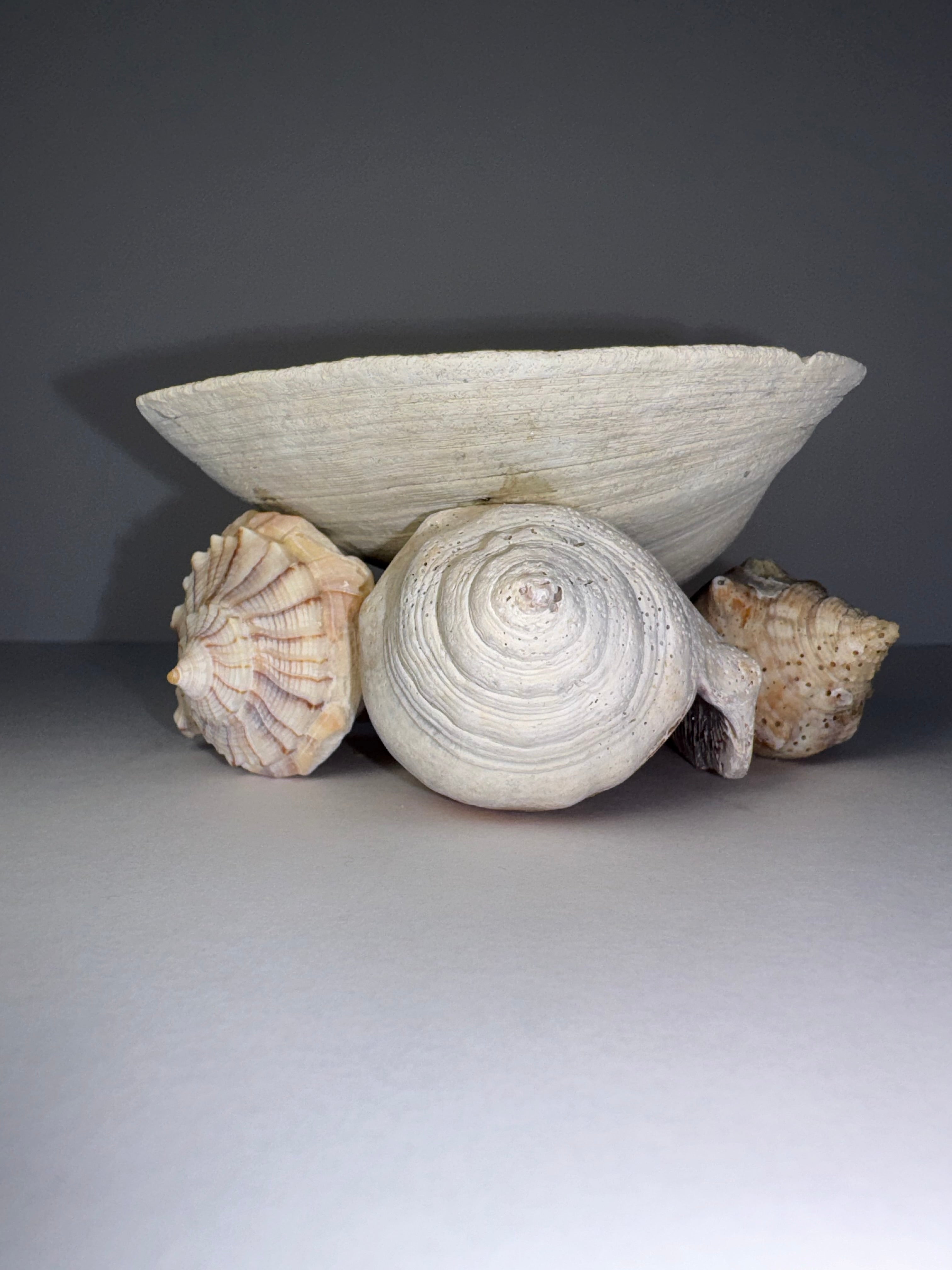 Shell Candle