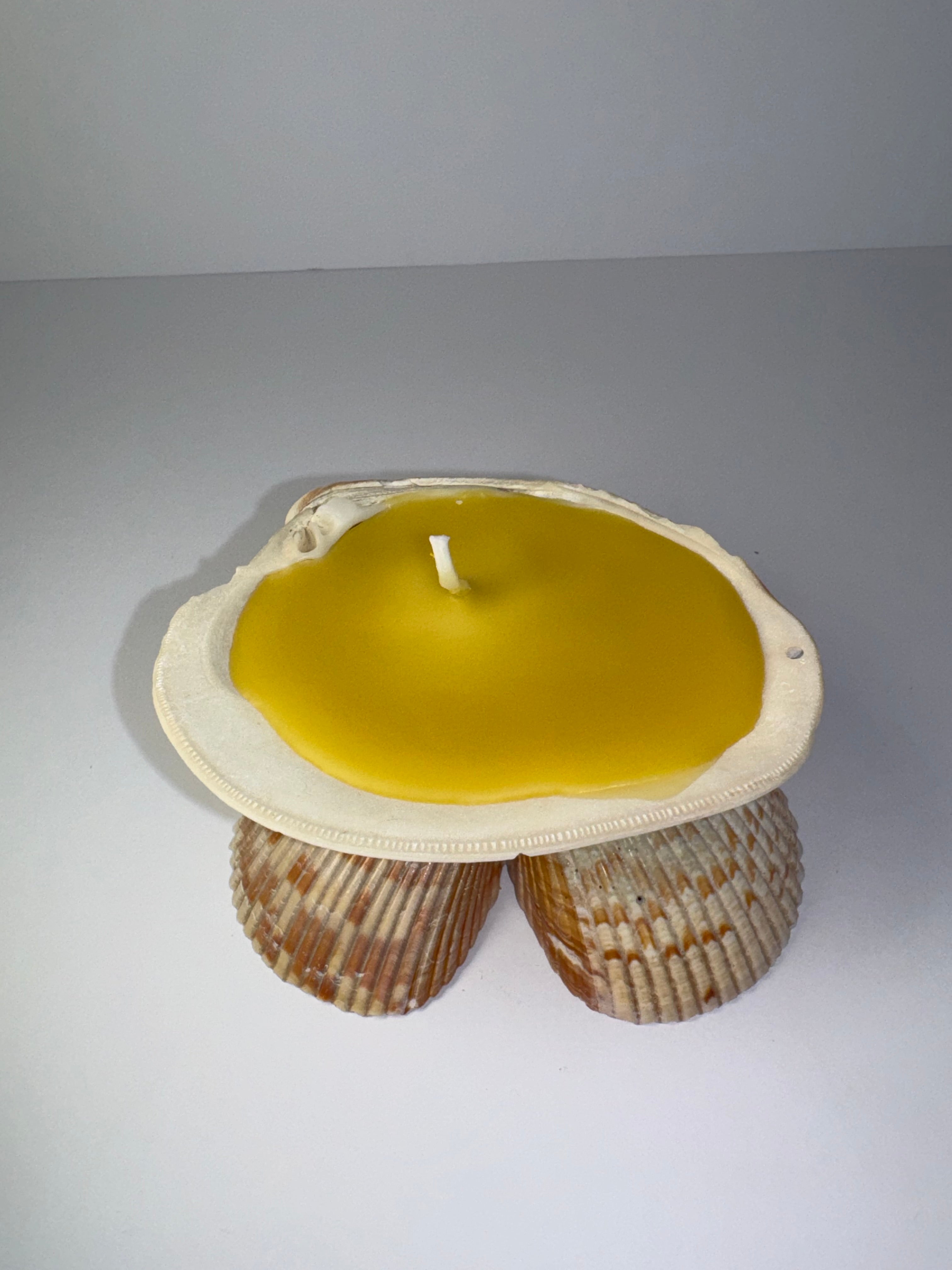 Shell Candle