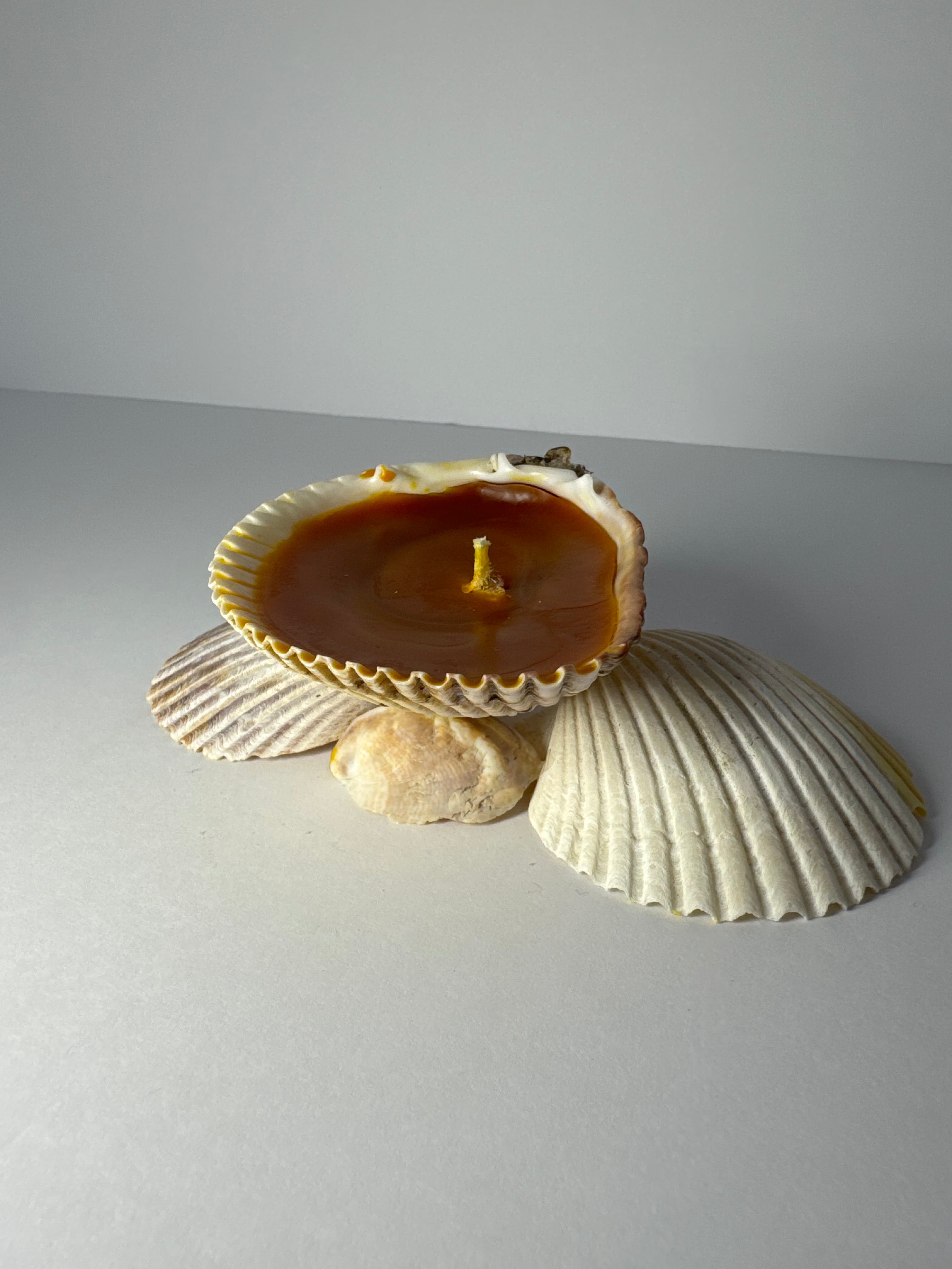 Shell Candle