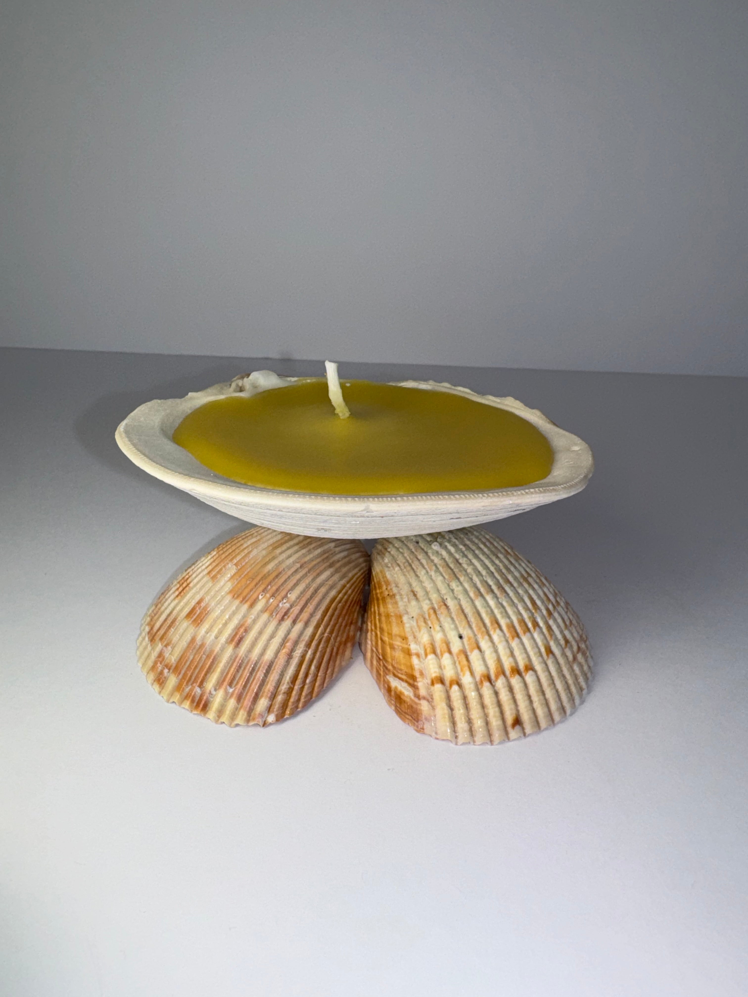 Shell Candle