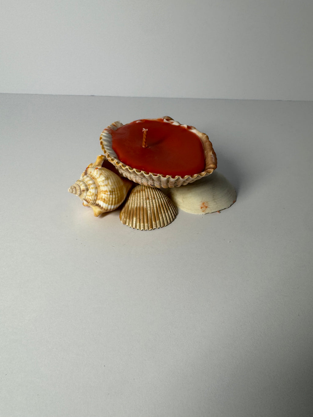 Shell Candle