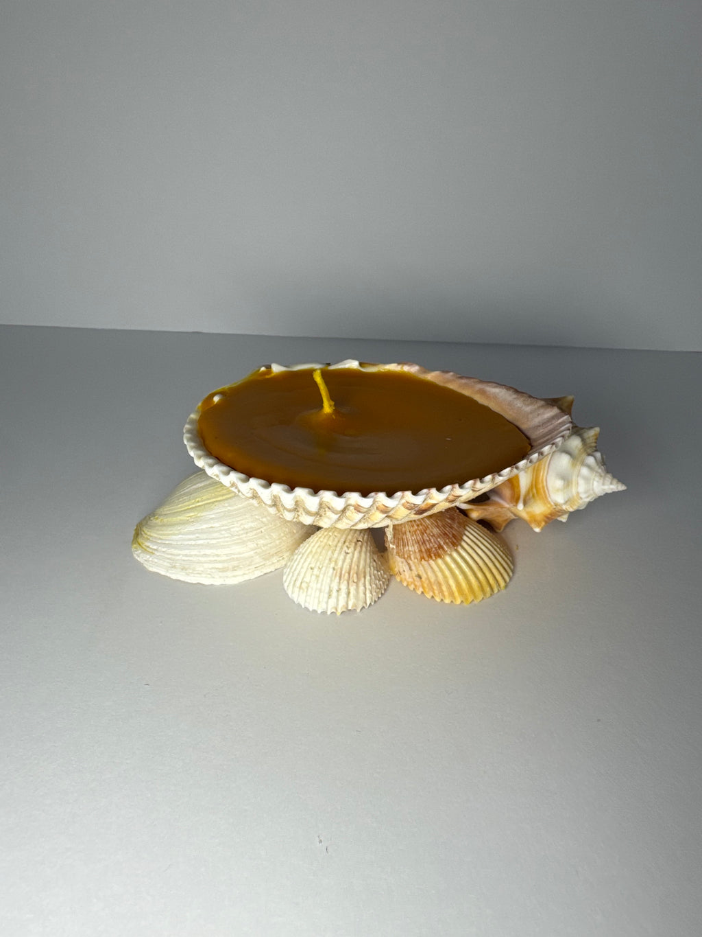 Shell Candle