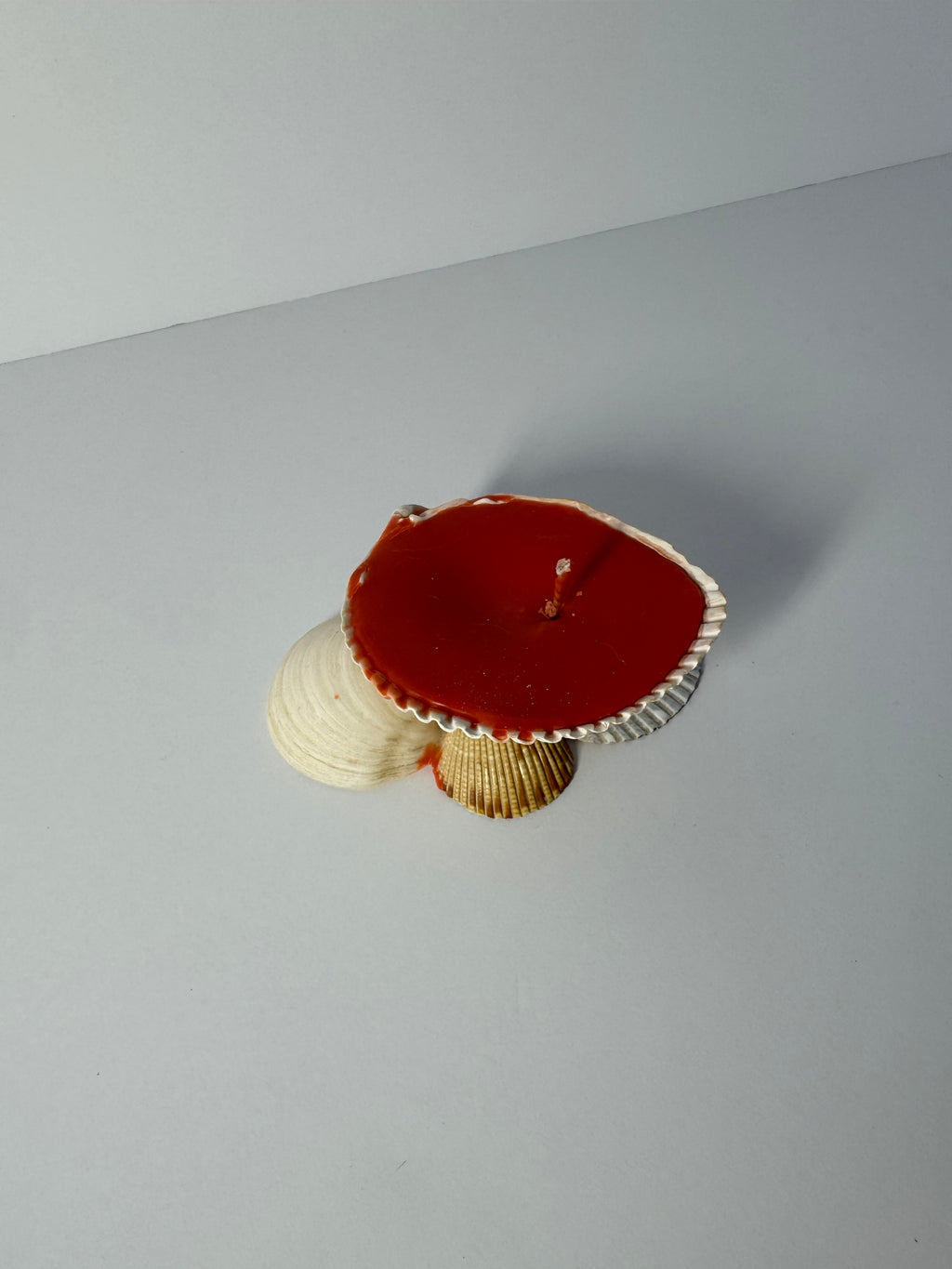 Shell Candle