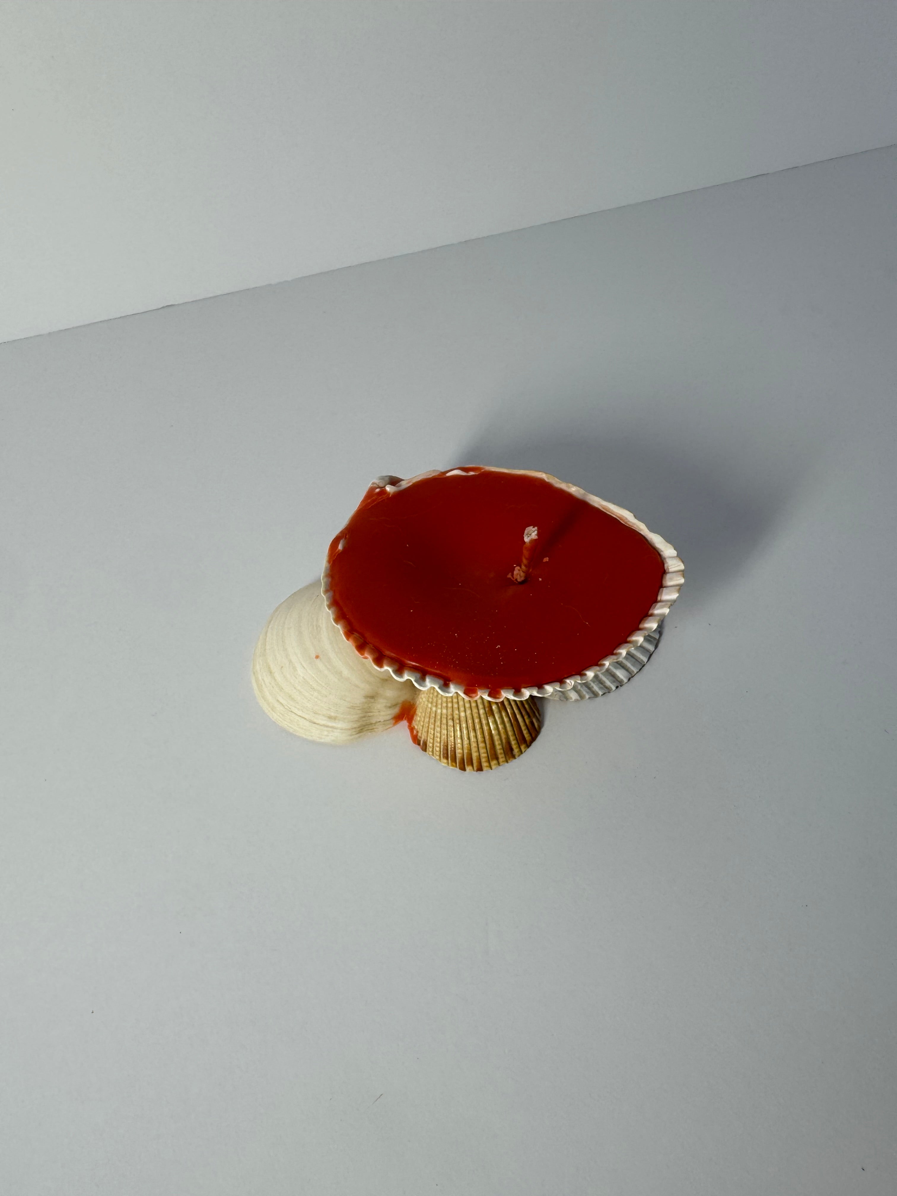 Shell Candle
