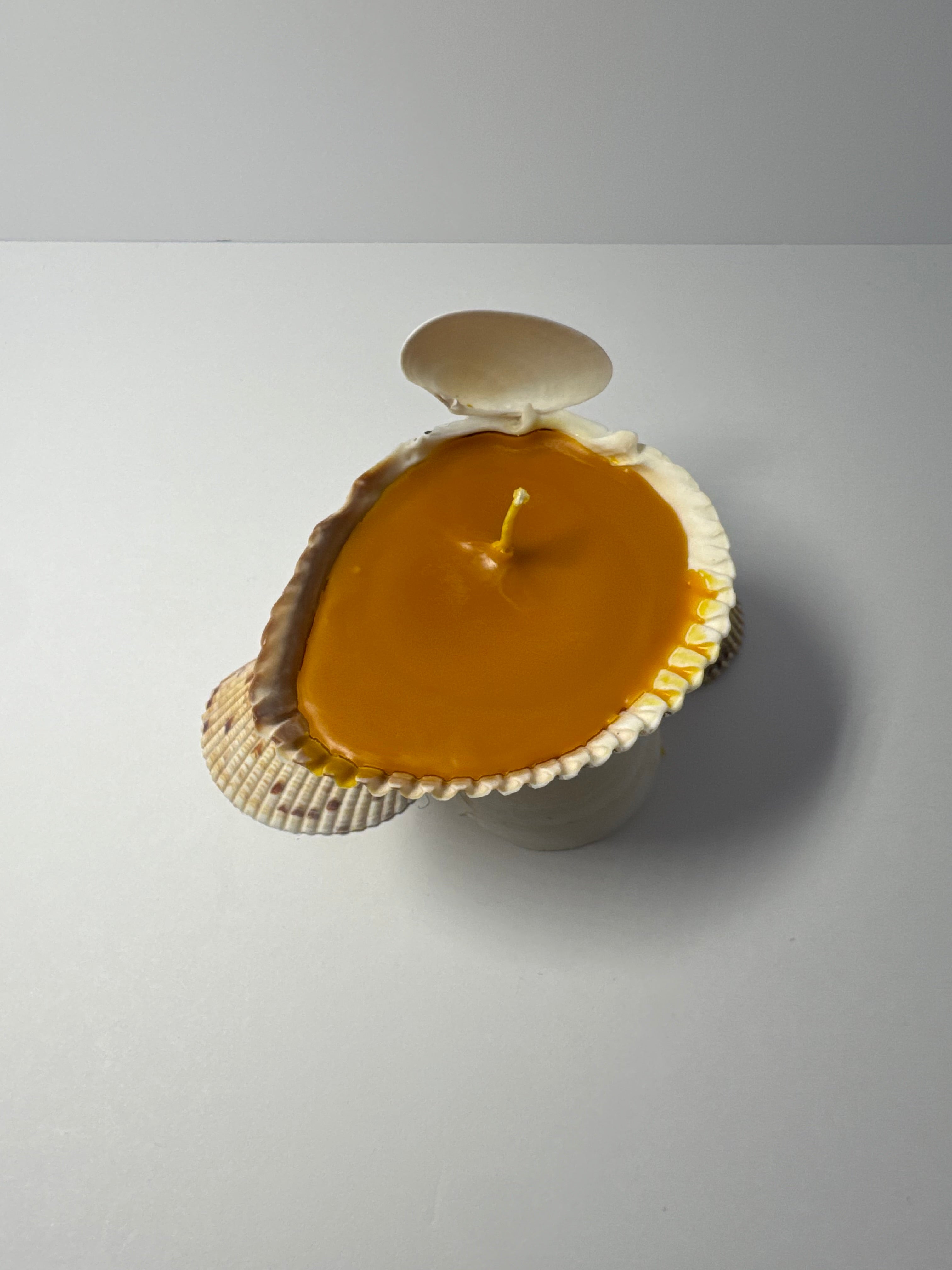 Shell Candle