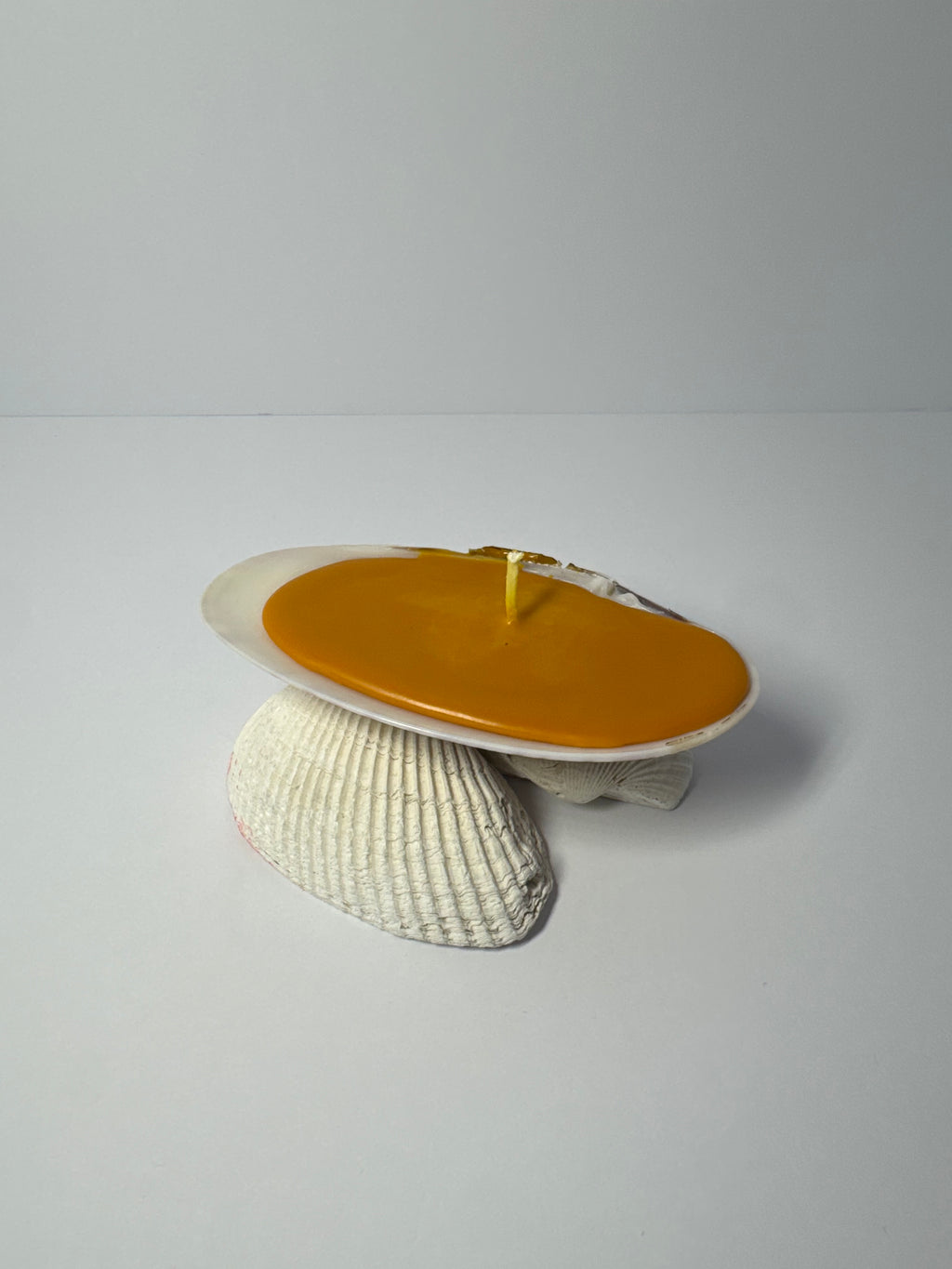 Shell Candle