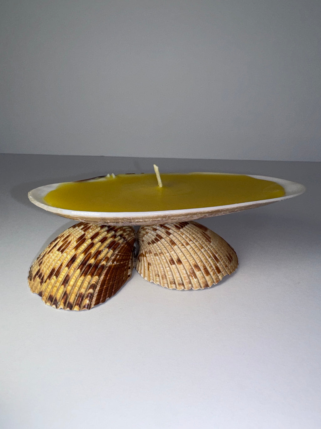 Shell Candle